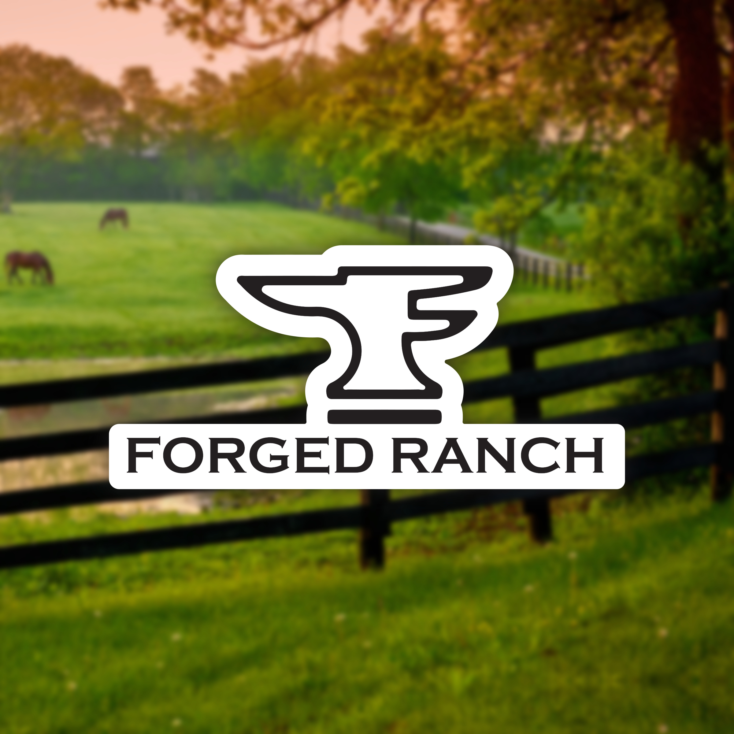 Forged Ranch Sticker