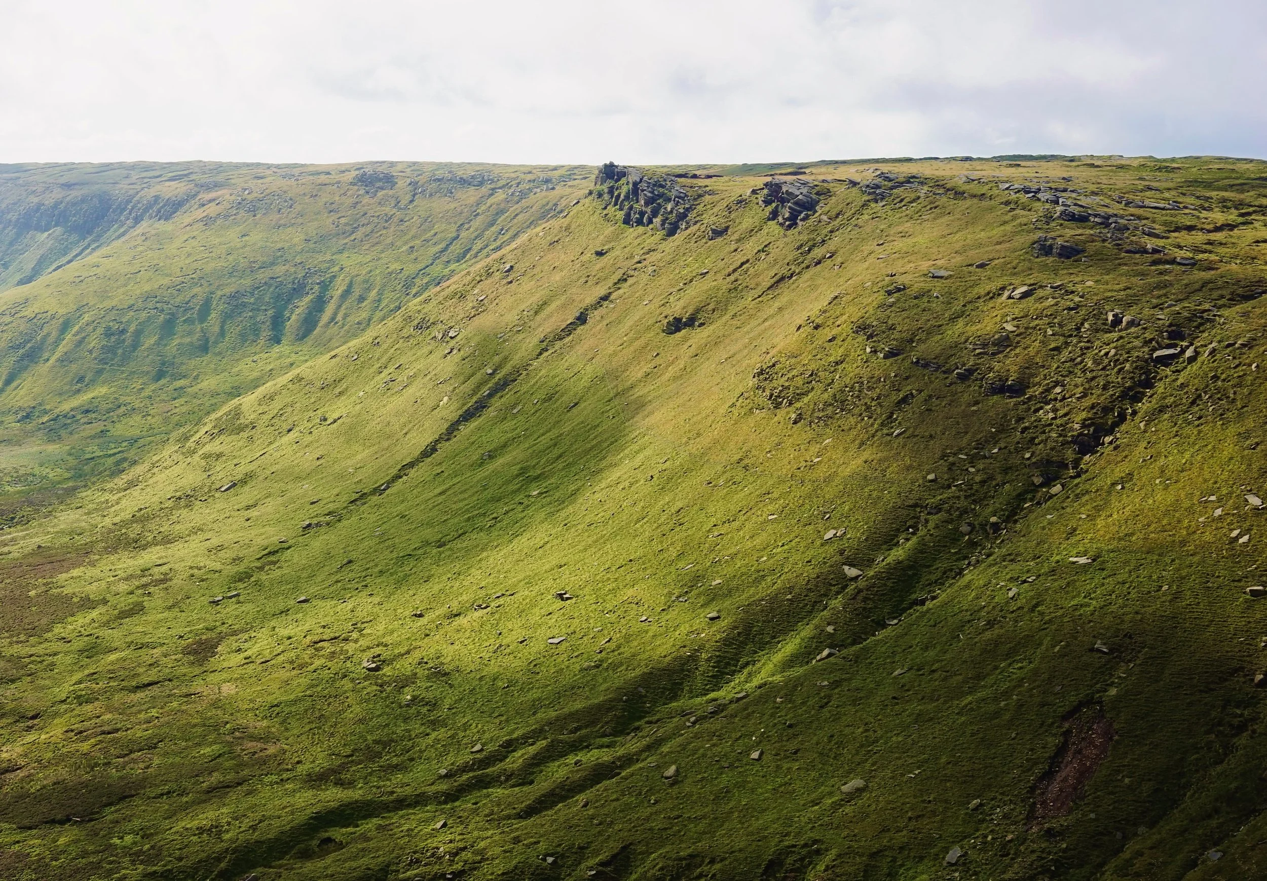 WILDSPACES–PROJECT001–3.jpeg