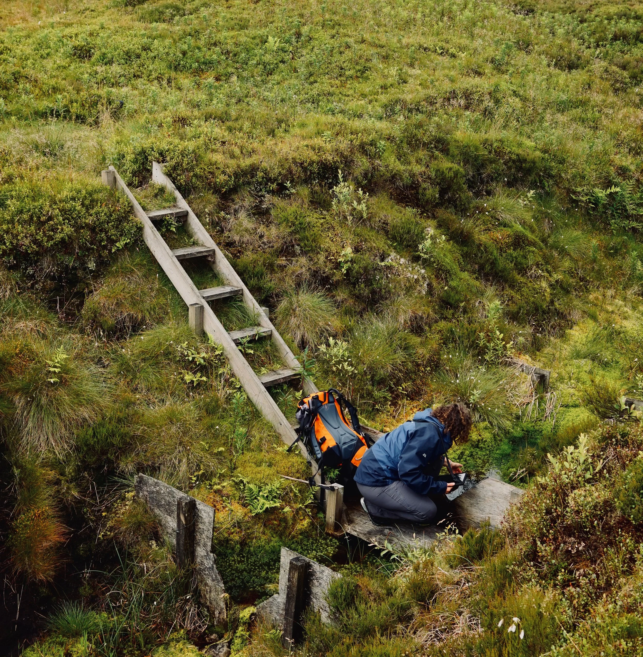 WILDSPACES–PROJECT001–1.jpeg