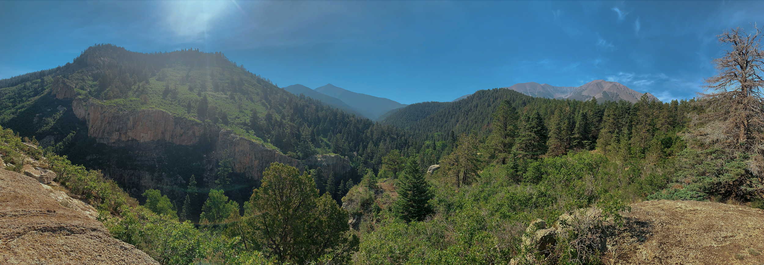 Panoramic view of a lush green mountain landscape with dense forest, rocky cliffs, and distant mountain peaks under a clear blue sky in Colorado.