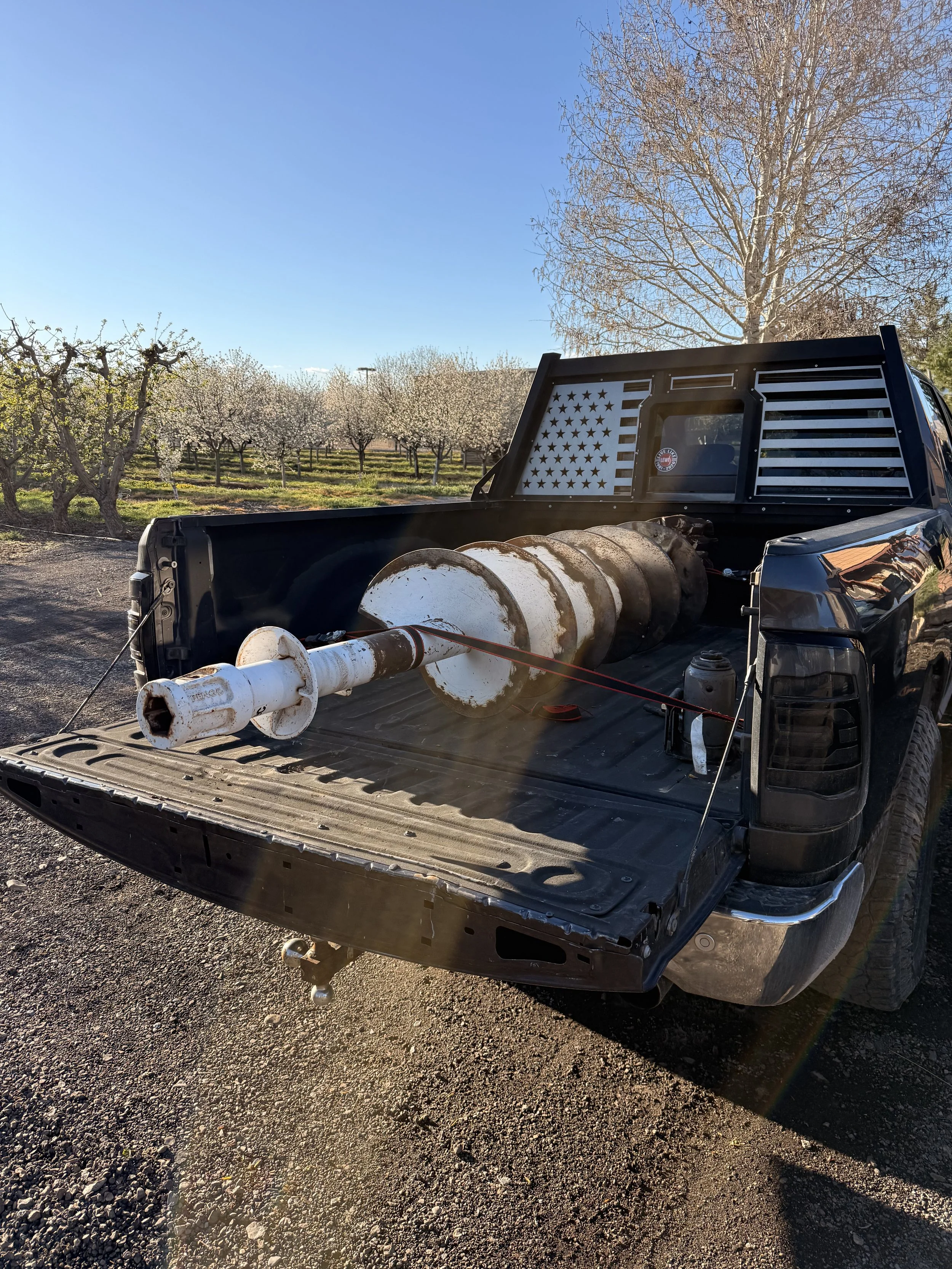 A black pickup truck with a large, rusty, white-painted drill bit in the truck bed, parked outdoors on a gravel surface near a orchard of blossoming trees under a clear blue sky.