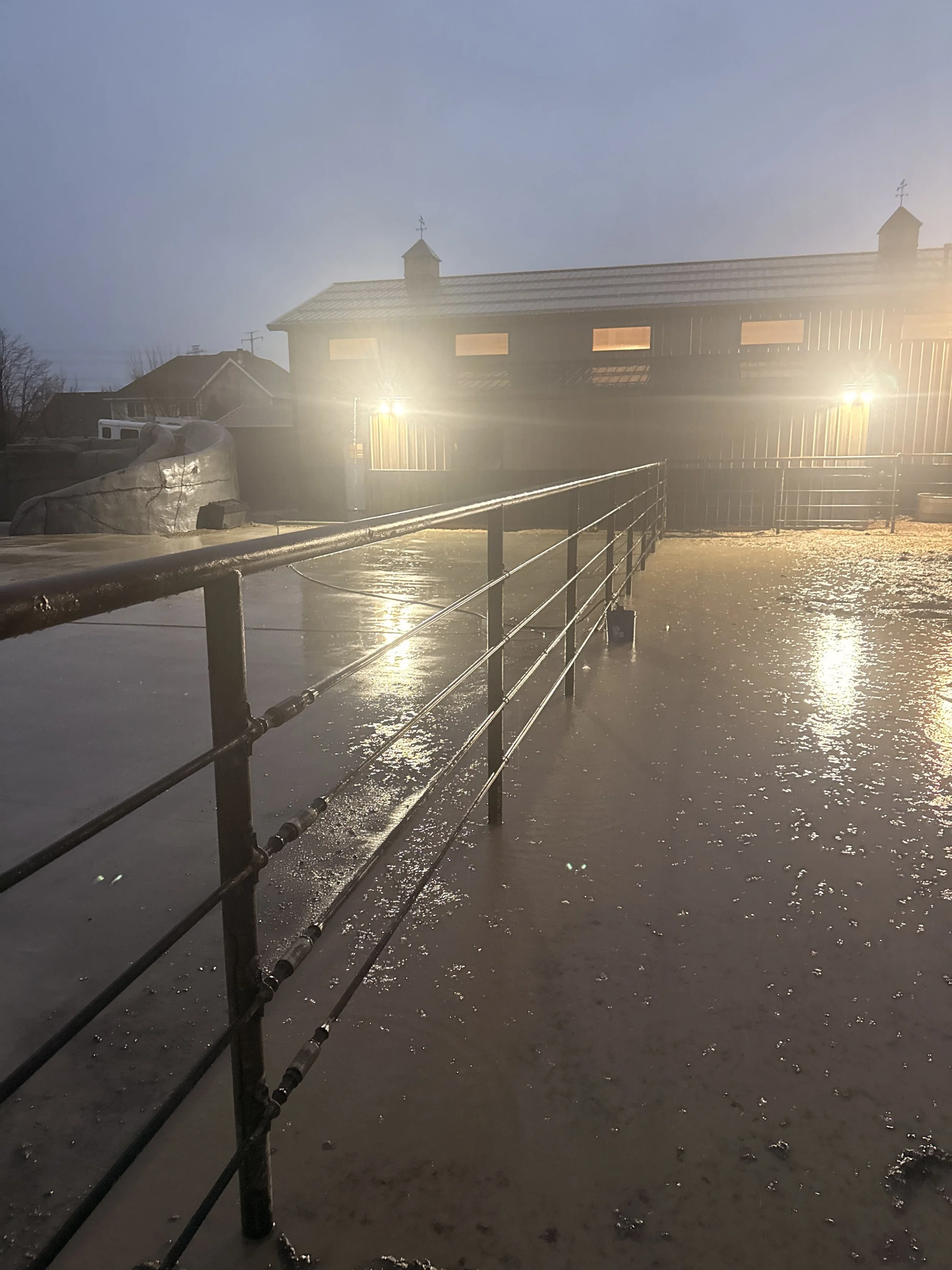 Flooded outdoor area with water covering the ground, metal railing, and a building in the background illuminated by bright lights.