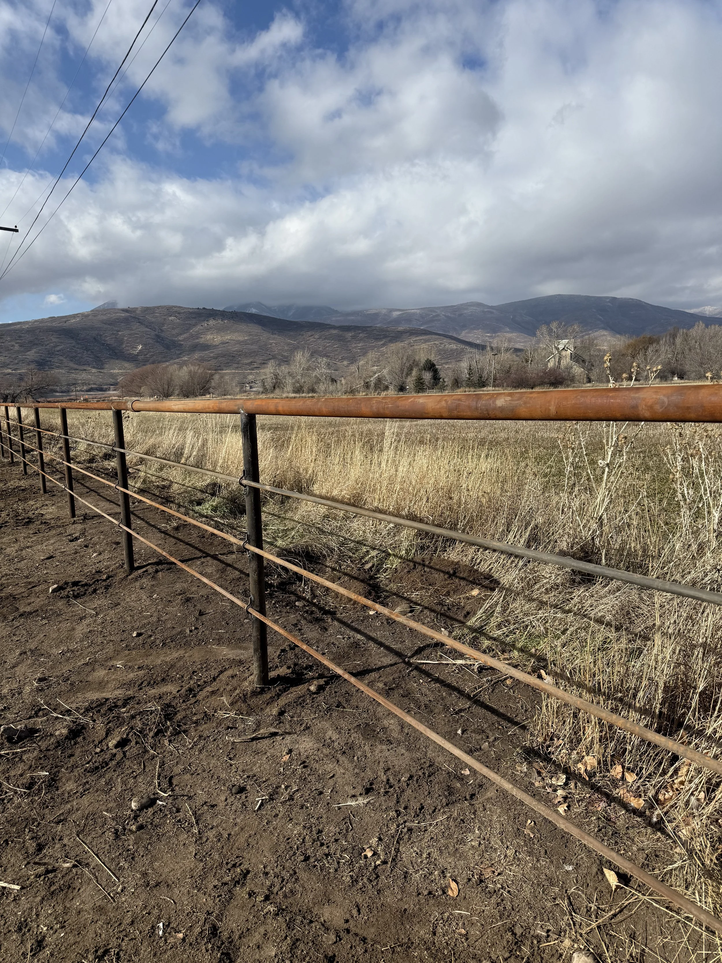 A rural landscape with a dirt path, metal fence, tall dry grass, and distant mountains under partly cloudy skies.