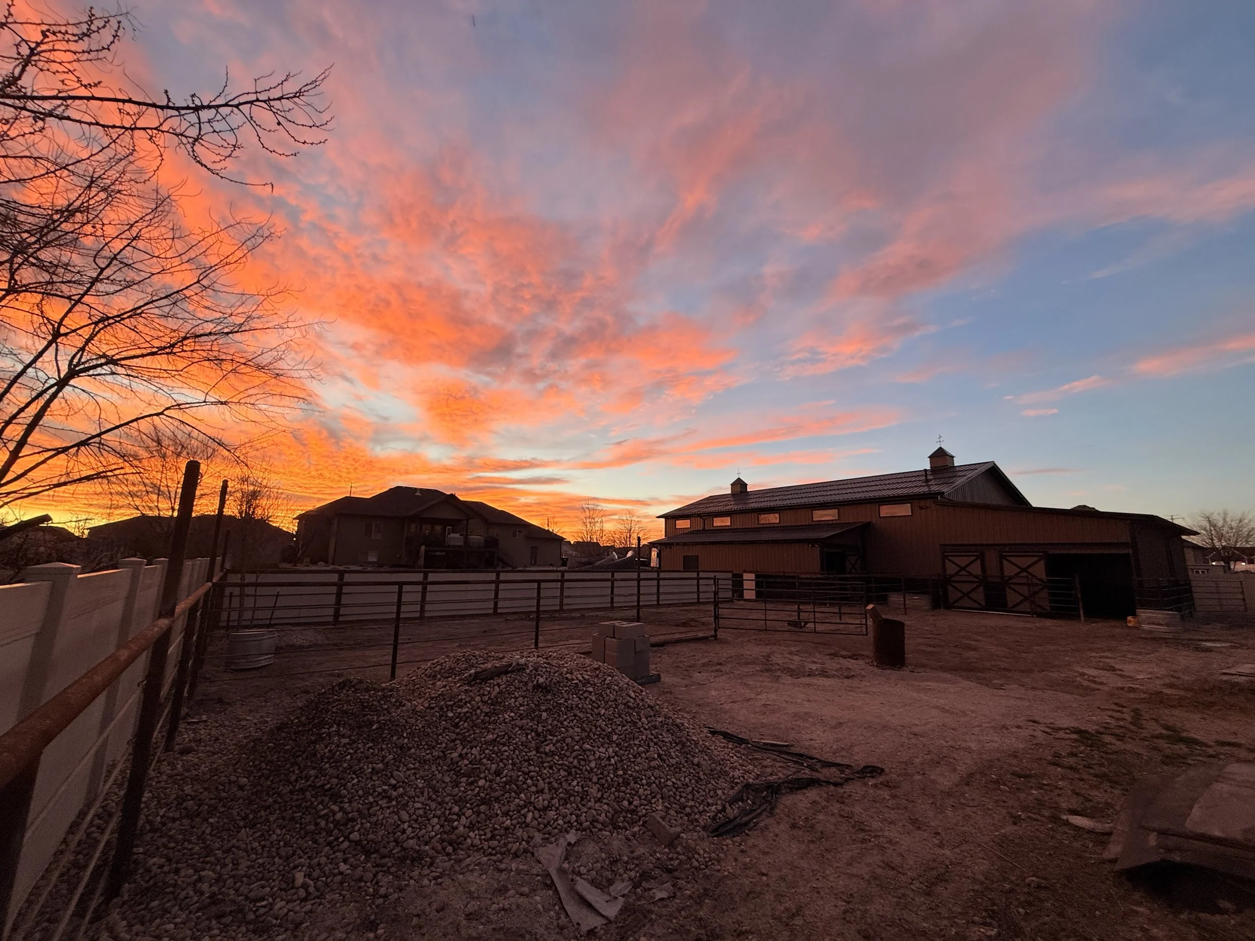 Sunset sky with orange, pink, and blue clouds over a backyard with a house and trees.