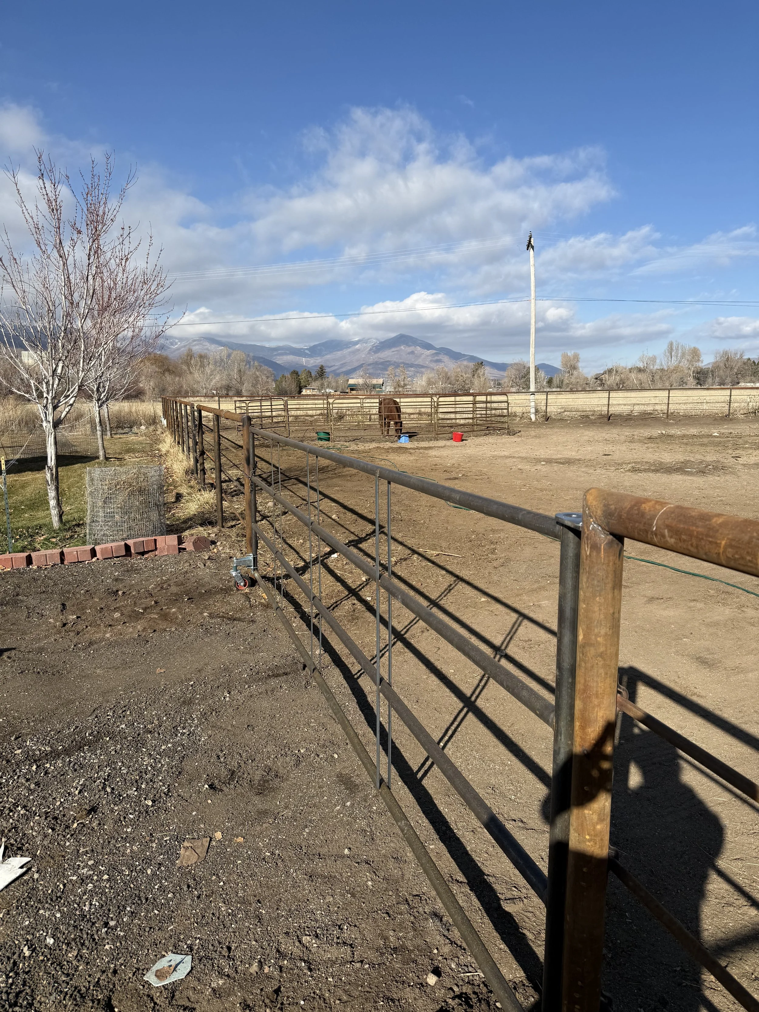 A fenced outdoor farm or ranch area with mountain views in the distance, clear blue sky with clouds, bare trees, and some animal water containers inside the fenced area.