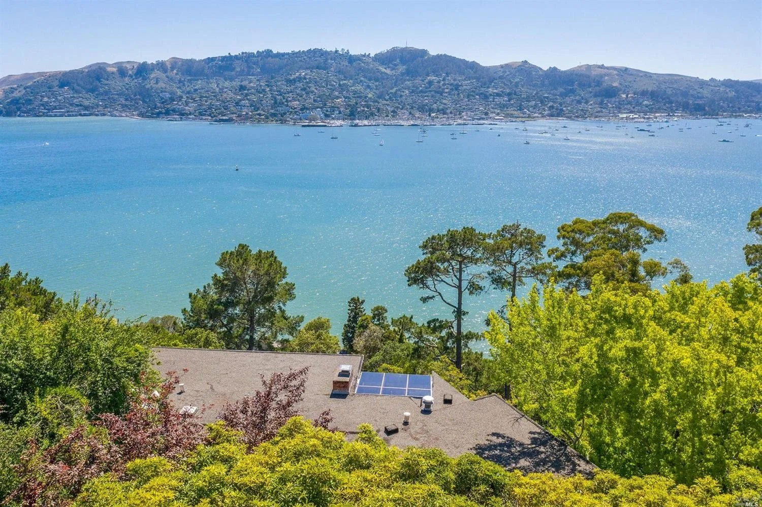 34 Eucalyptus Road, Belvedere
