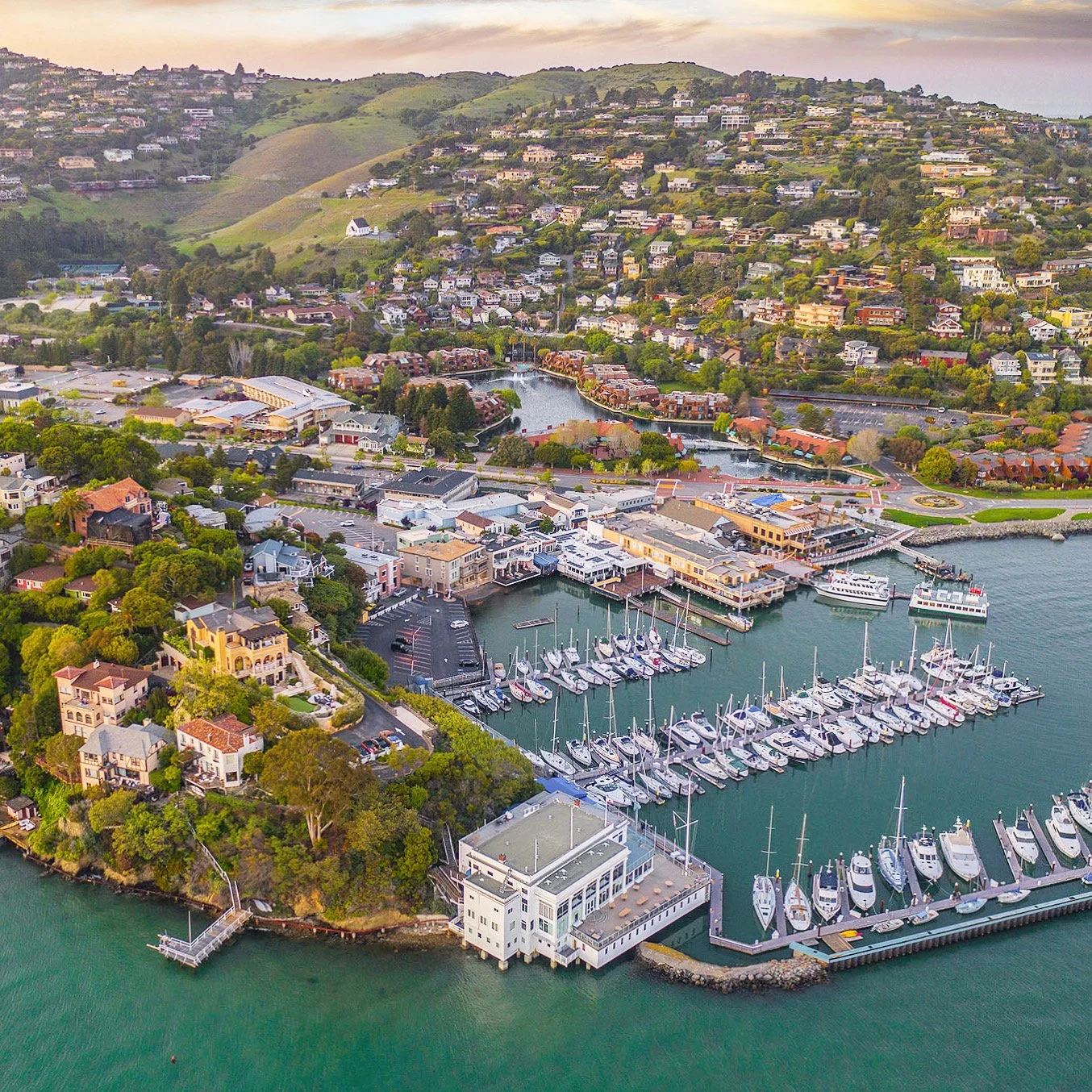Tiburon Real Estate &amp; Neighborhood Guide