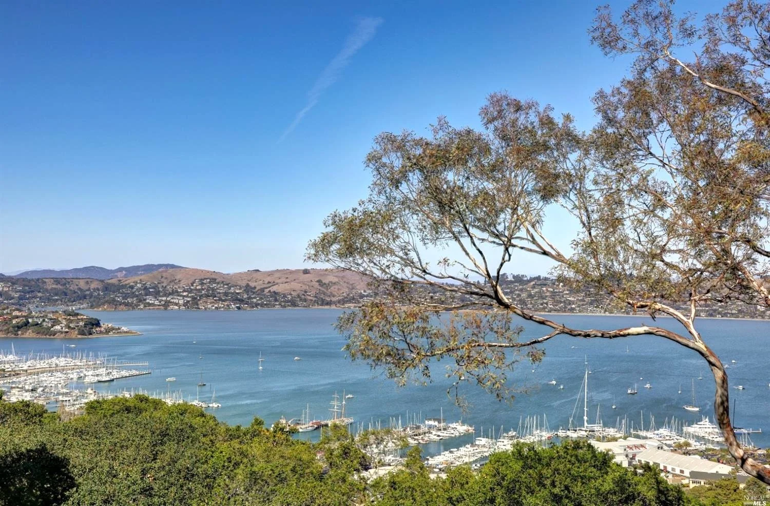 39 Prospect Ave, Sausalito