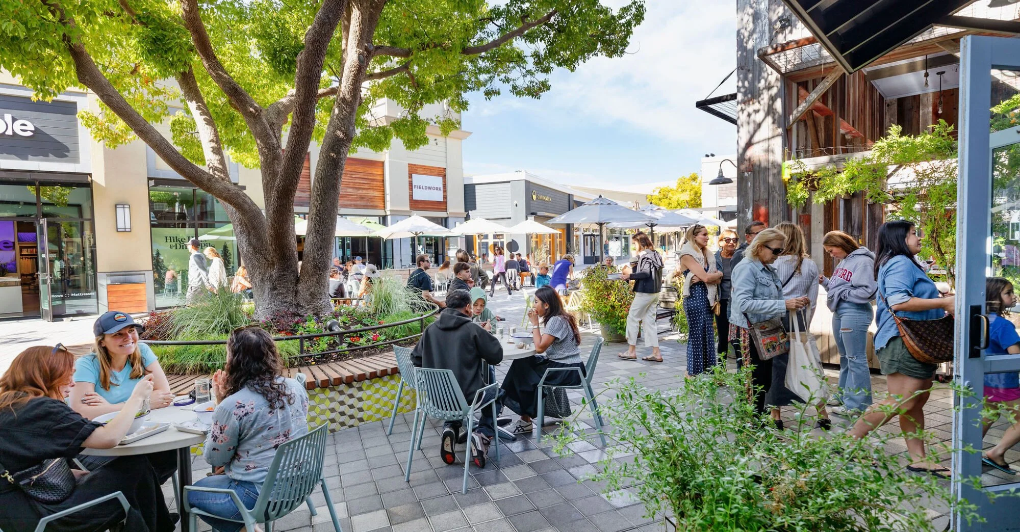 Corte Madera Real Estate &amp; Neighborhood Guide