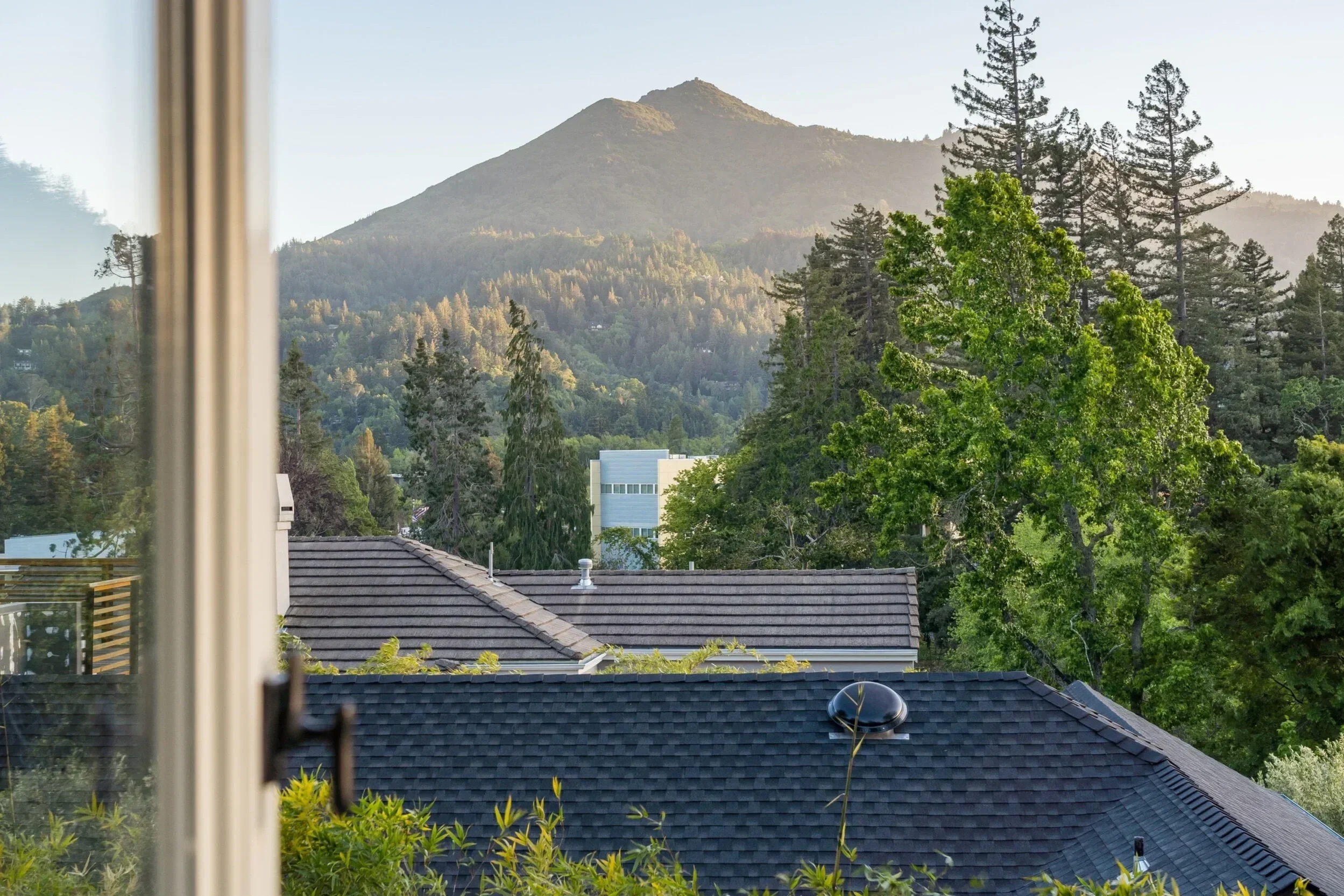 View from a window showing rooftops, green trees, and a mountain in the distance during daylight.