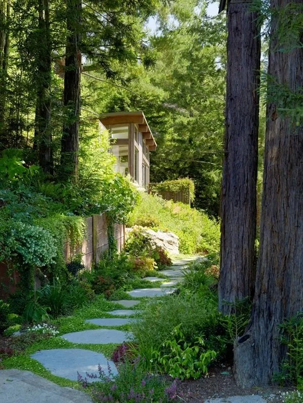 A lush garden walkway with stepping stones leading to a modern house amidst tall trees and greenery.