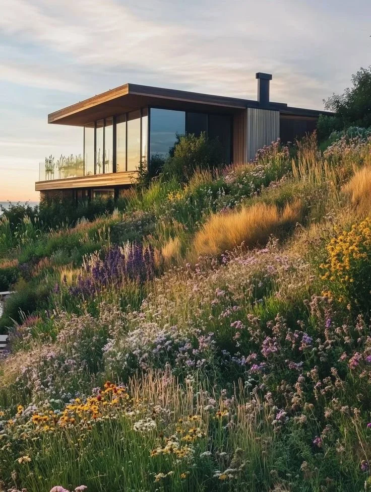 Modern house on a hillside surrounded by colorful wildflowers at sunset.