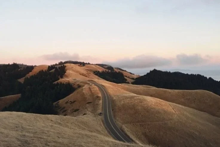 A winding road through rolling, golden grassy hills with dark wooded patches in the distance under a partly cloudy sky.