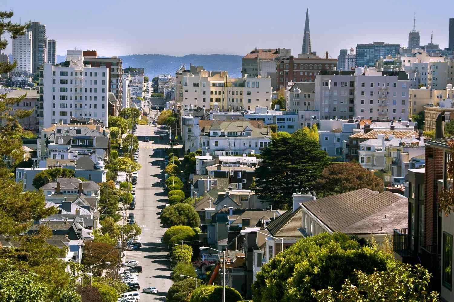 A cityscape showing a mix of residential houses and taller buildings in the background, with a tree-lined street running through the center.