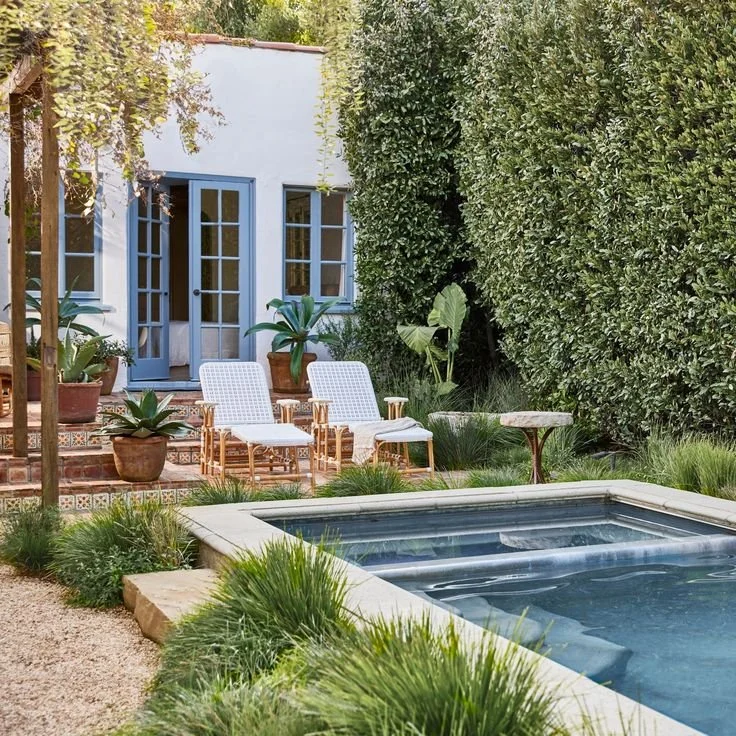 A backyard outdoor space with a small swimming pool, two white lounge chairs, large potted plants, and tall green hedge walls.