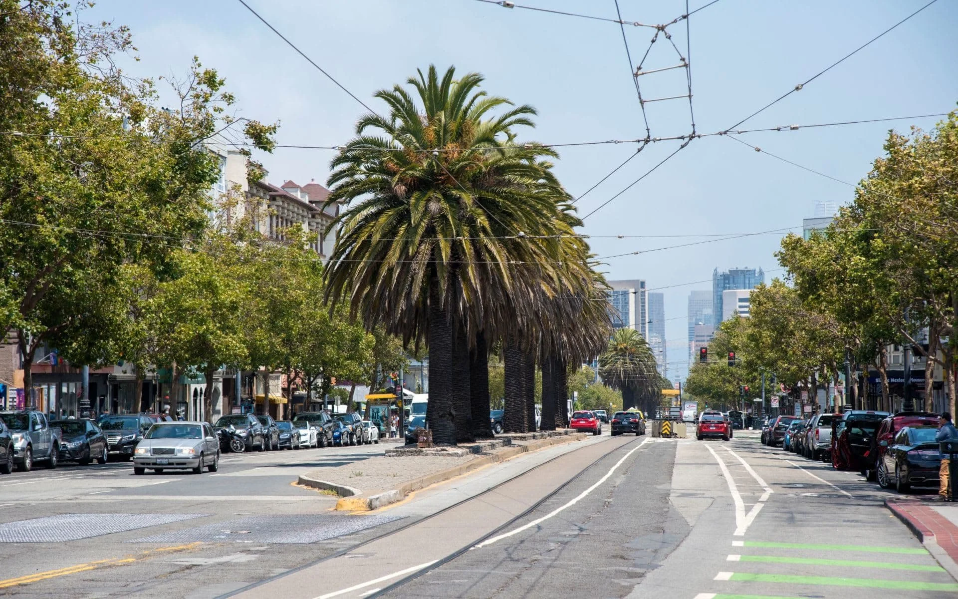 City street with palm trees in the middle of the road, cars parked on both sides, traffic lights, and an urban skyline in the background under a clear sky.