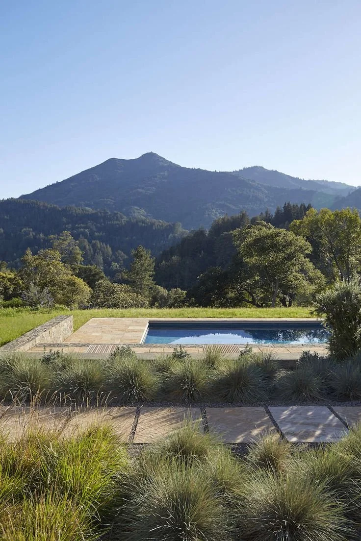 A backyard with a small swimming pool, surrounded by grass and plants, with a large mountain covered in trees in the background under a clear sky.