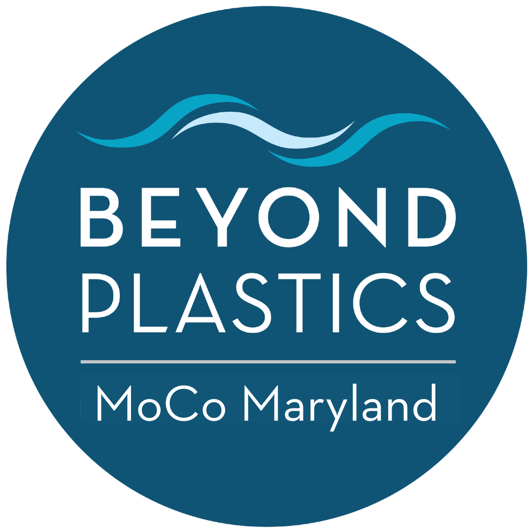 Beyond Plastics presentation