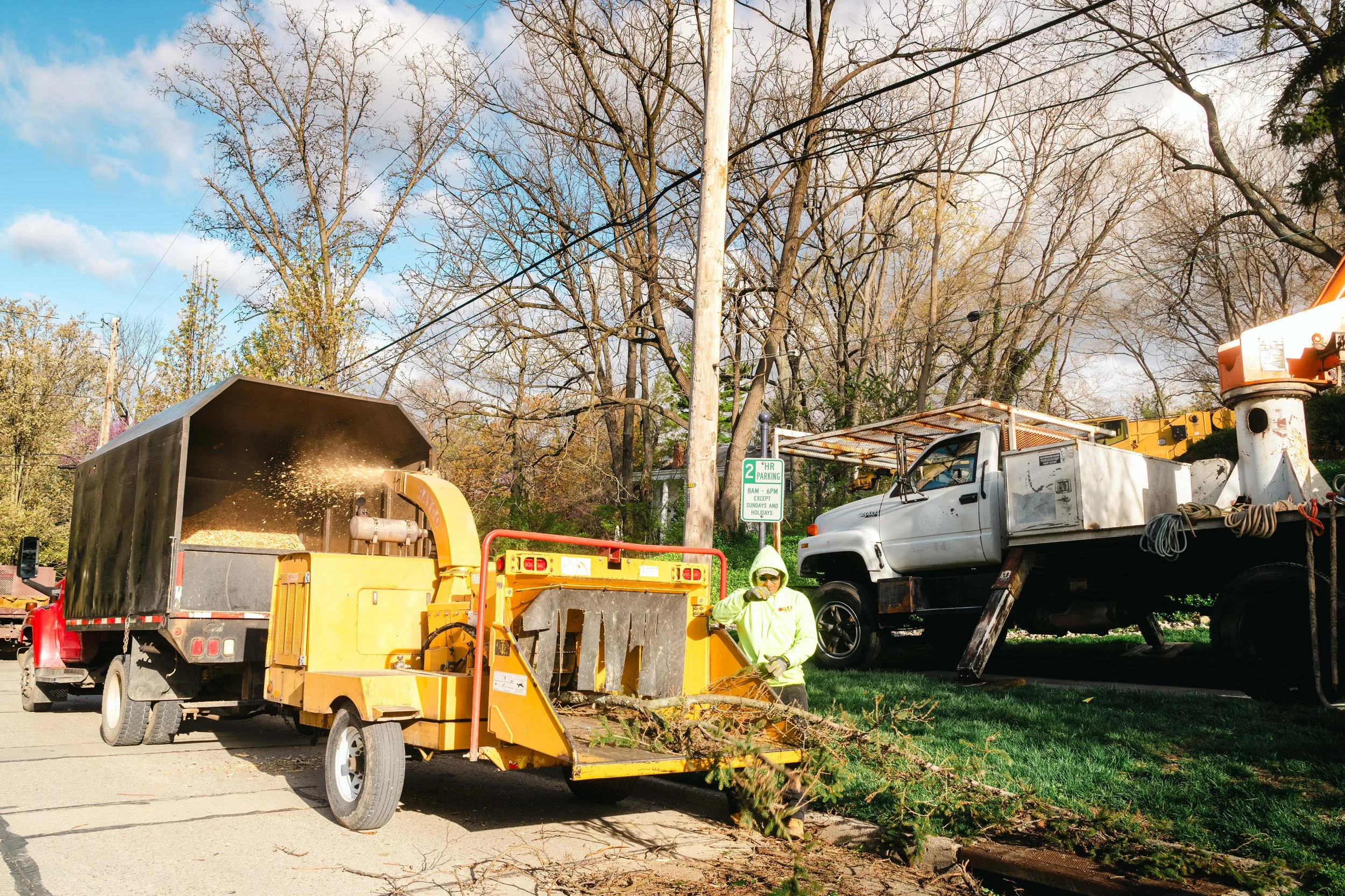 Tree Service Oakwood-27.jpg