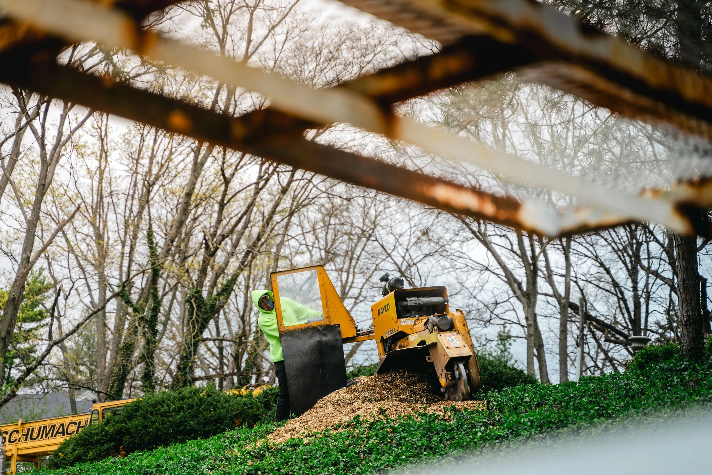 Tree Service Oakwood-179.jpg