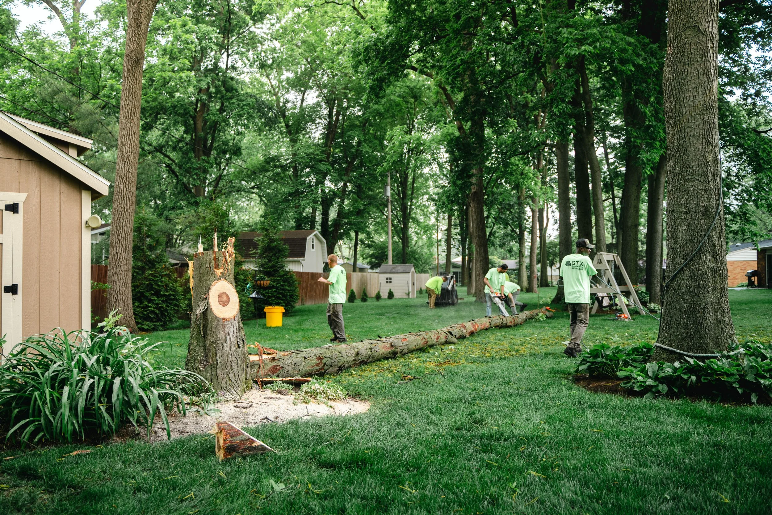 GTX May 29 Tree Service-71.jpg