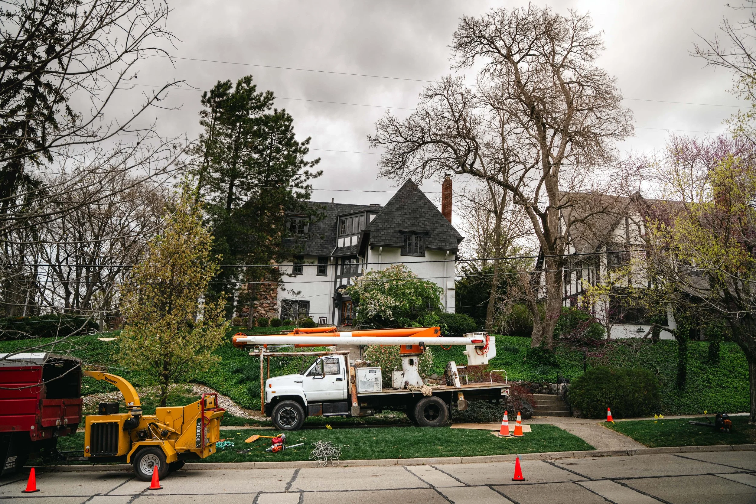 Tree Service Oakwood-167.jpg
