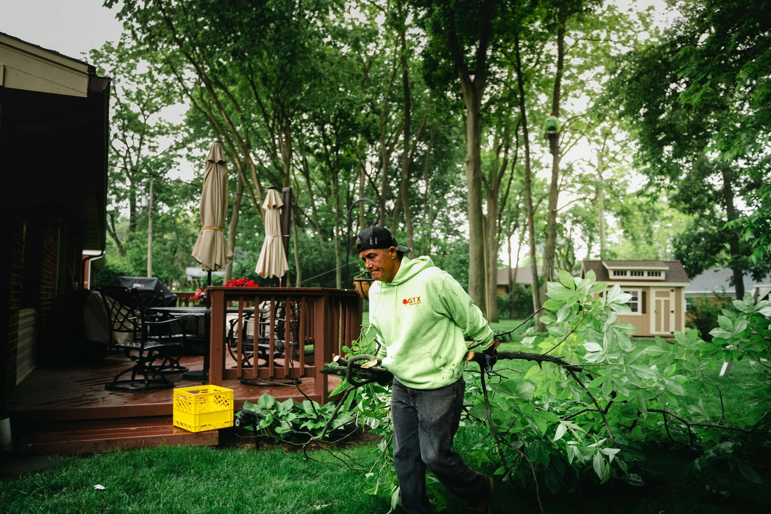 GTX May 29 Tree Service-2.jpg