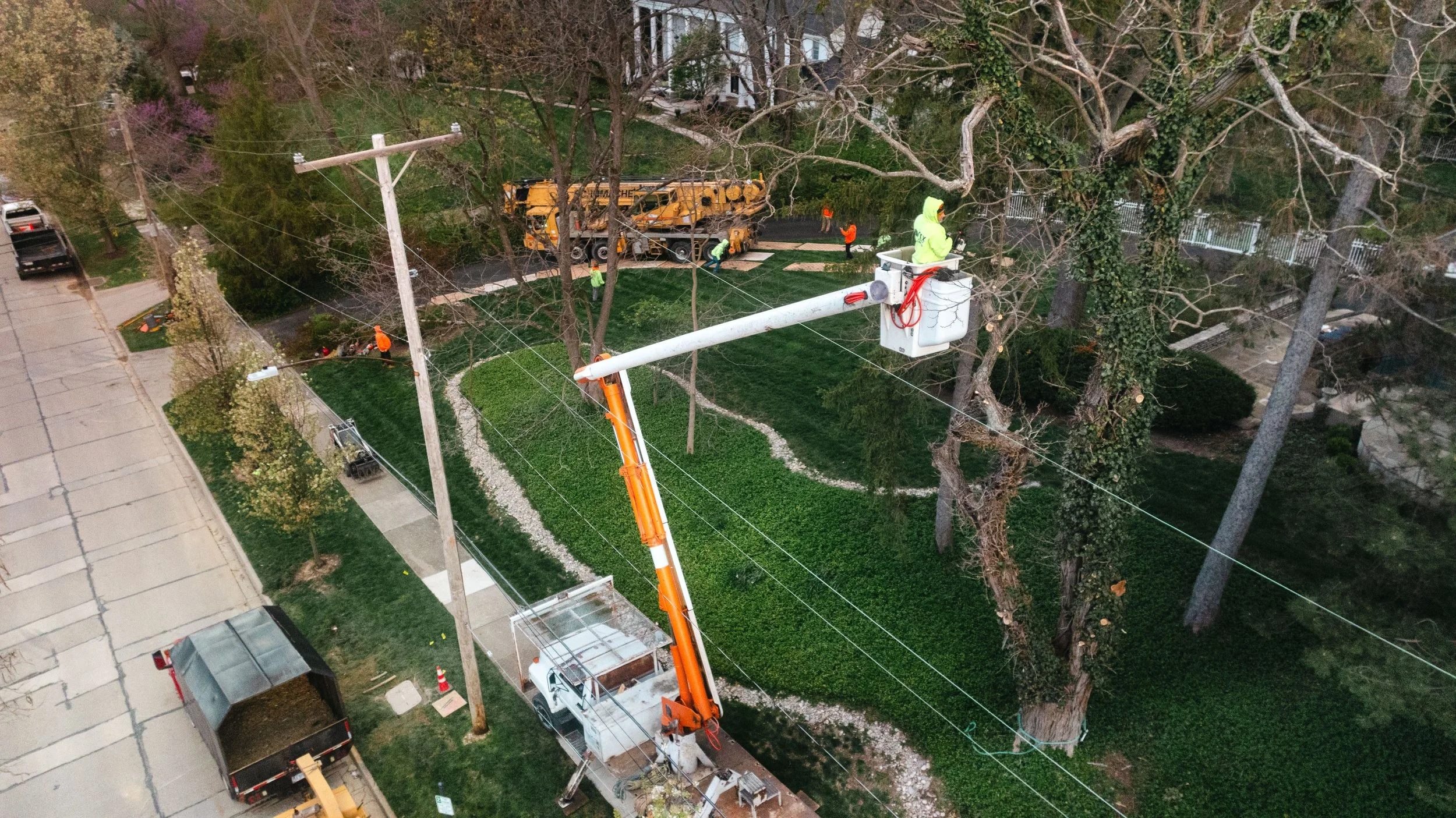 Tree Service Oakwood-2.jpg