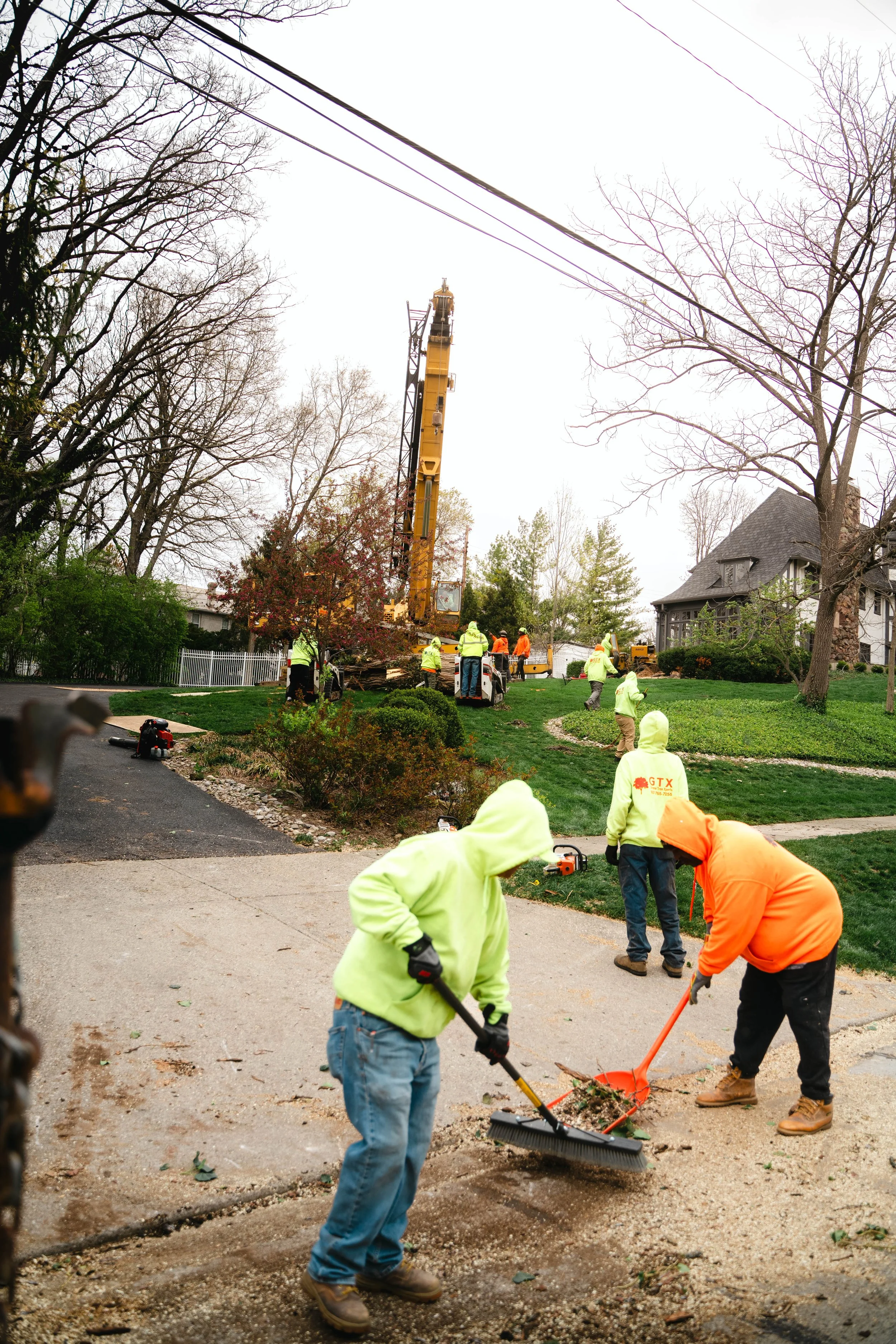 Tree Service Oakwood-162.jpg
