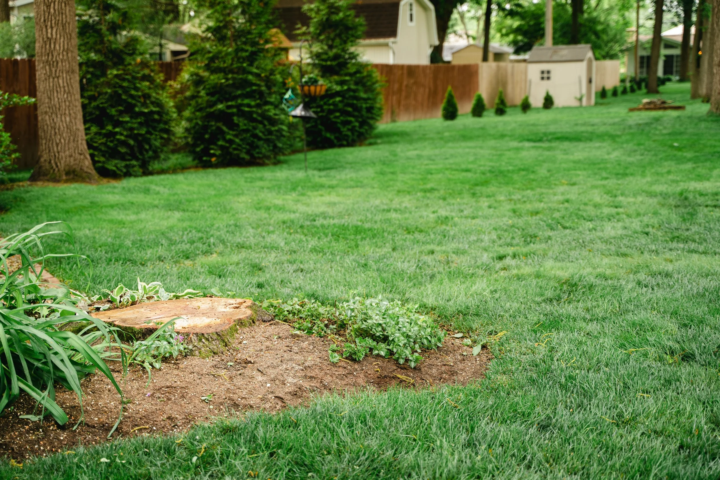 GTX May 29 Tree Service-99.jpg