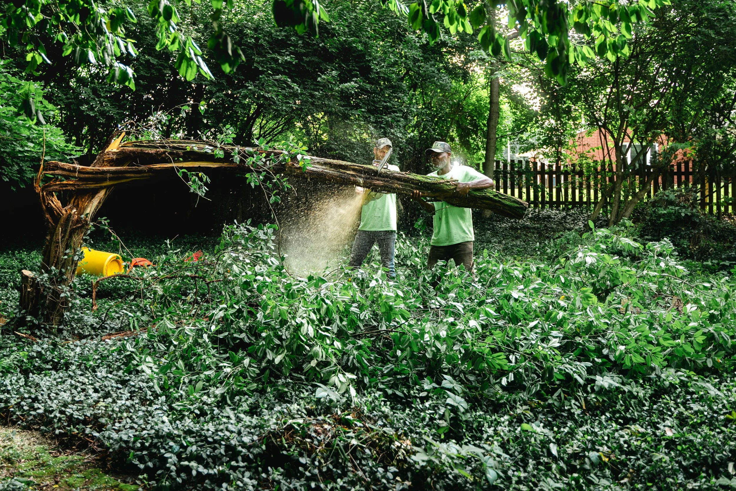 GTX May 29 Tree Service-111.jpg