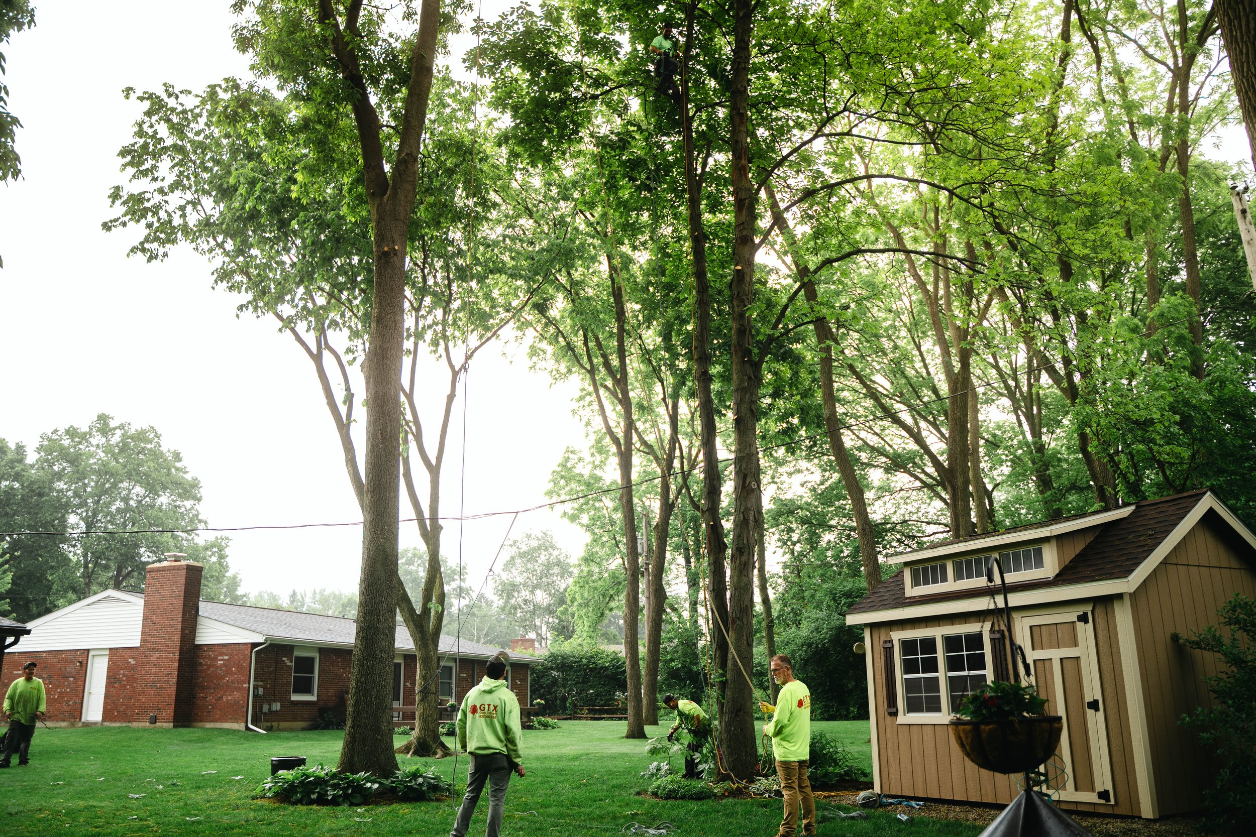 GTX May 29 Tree Service-18.jpg