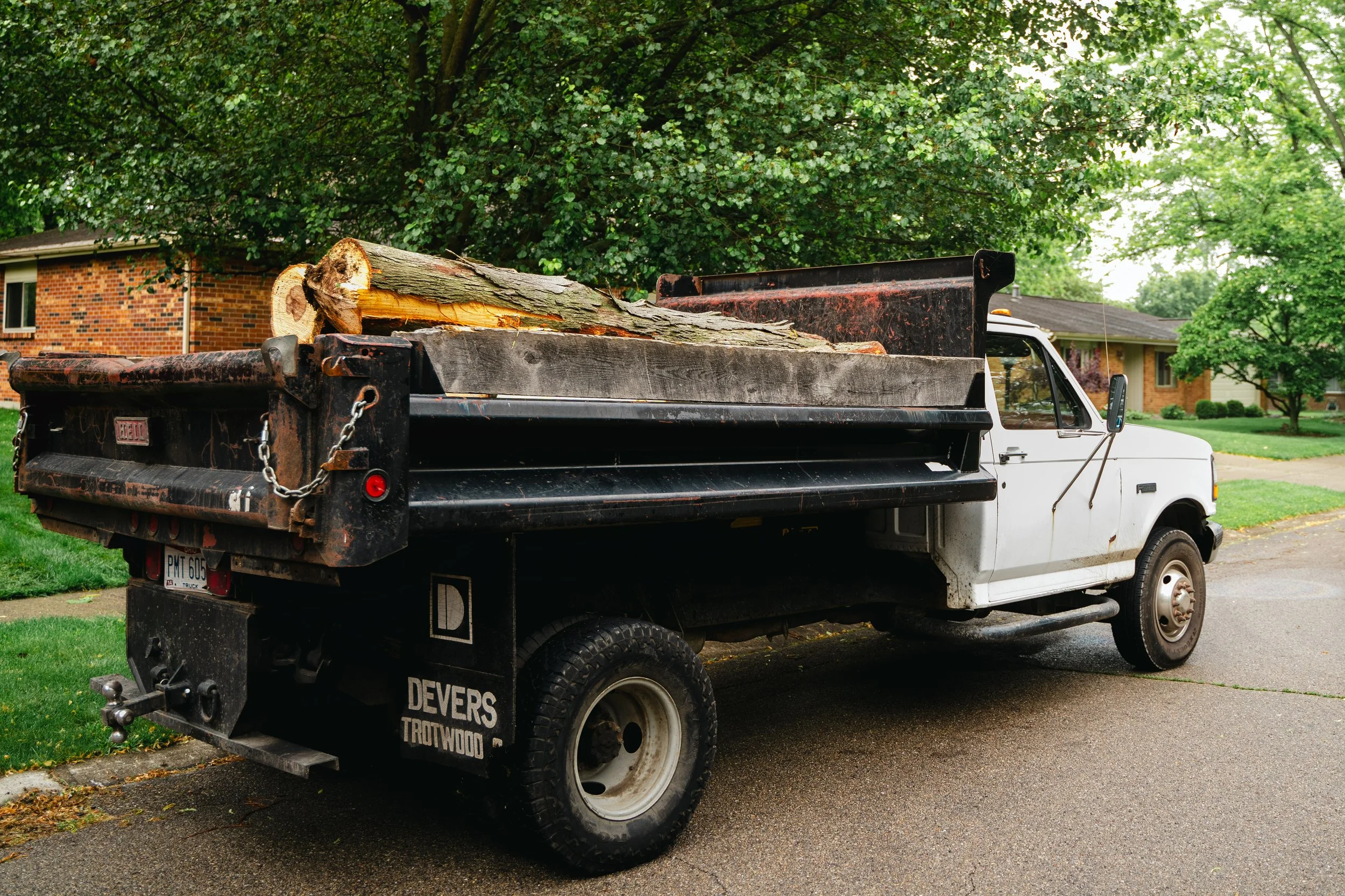 GTX May 29 Tree Service-91.jpg