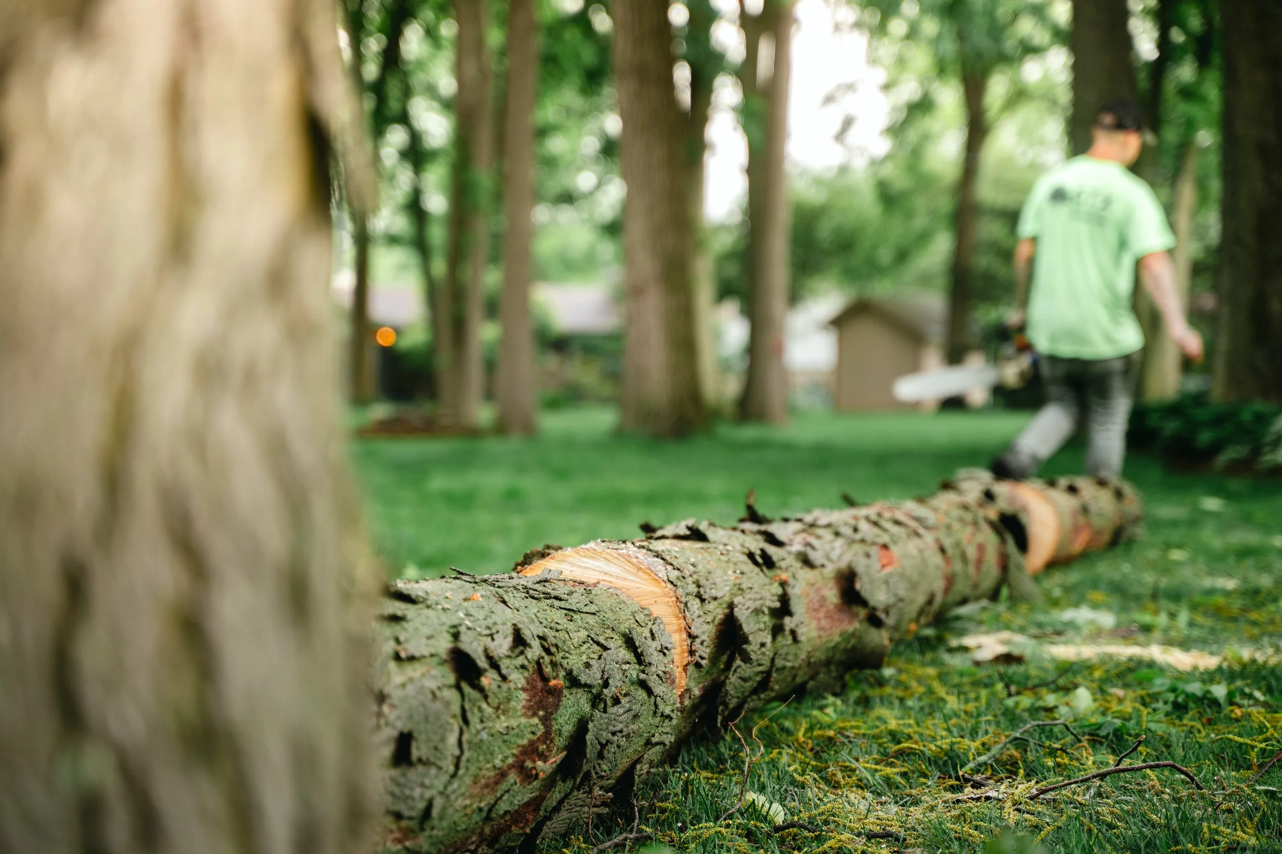 GTX May 29 Tree Service-75.jpg