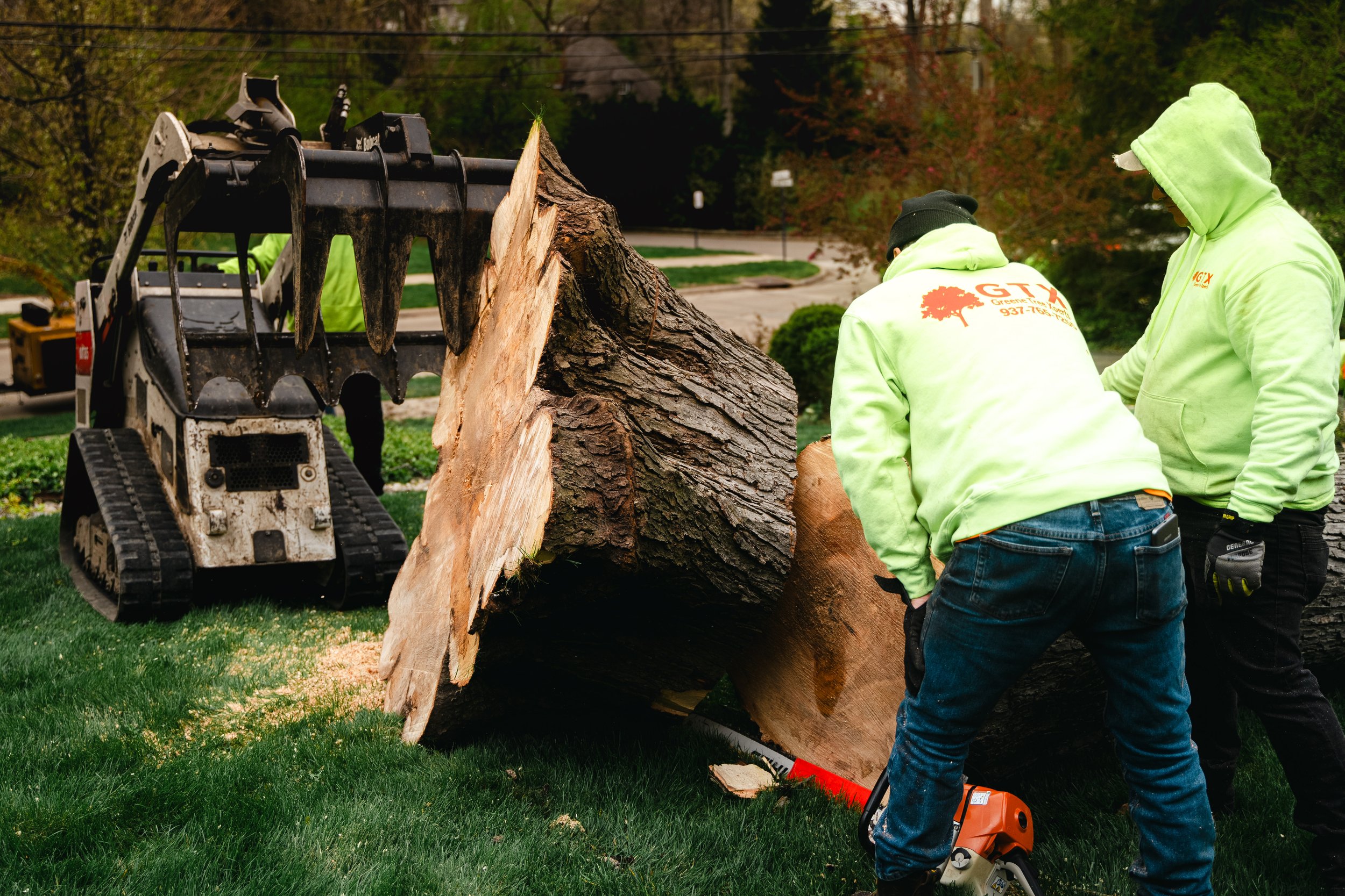 Tree Service Oakwood-122.jpg