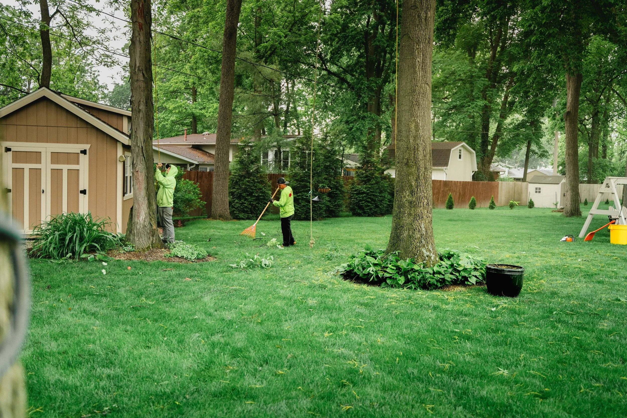 GTX May 29 Tree Service-7.jpg