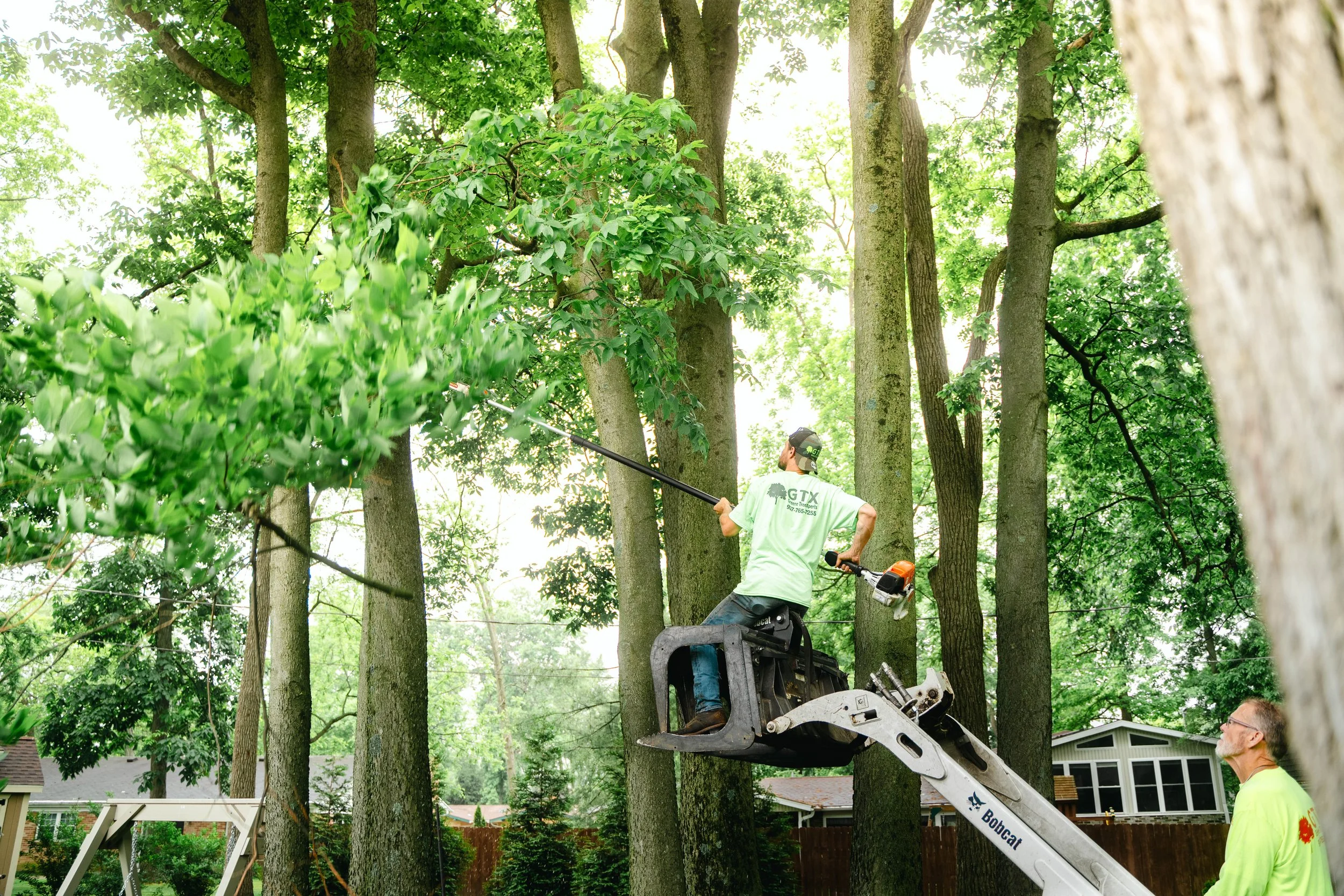 Trimming Limbs from Trees