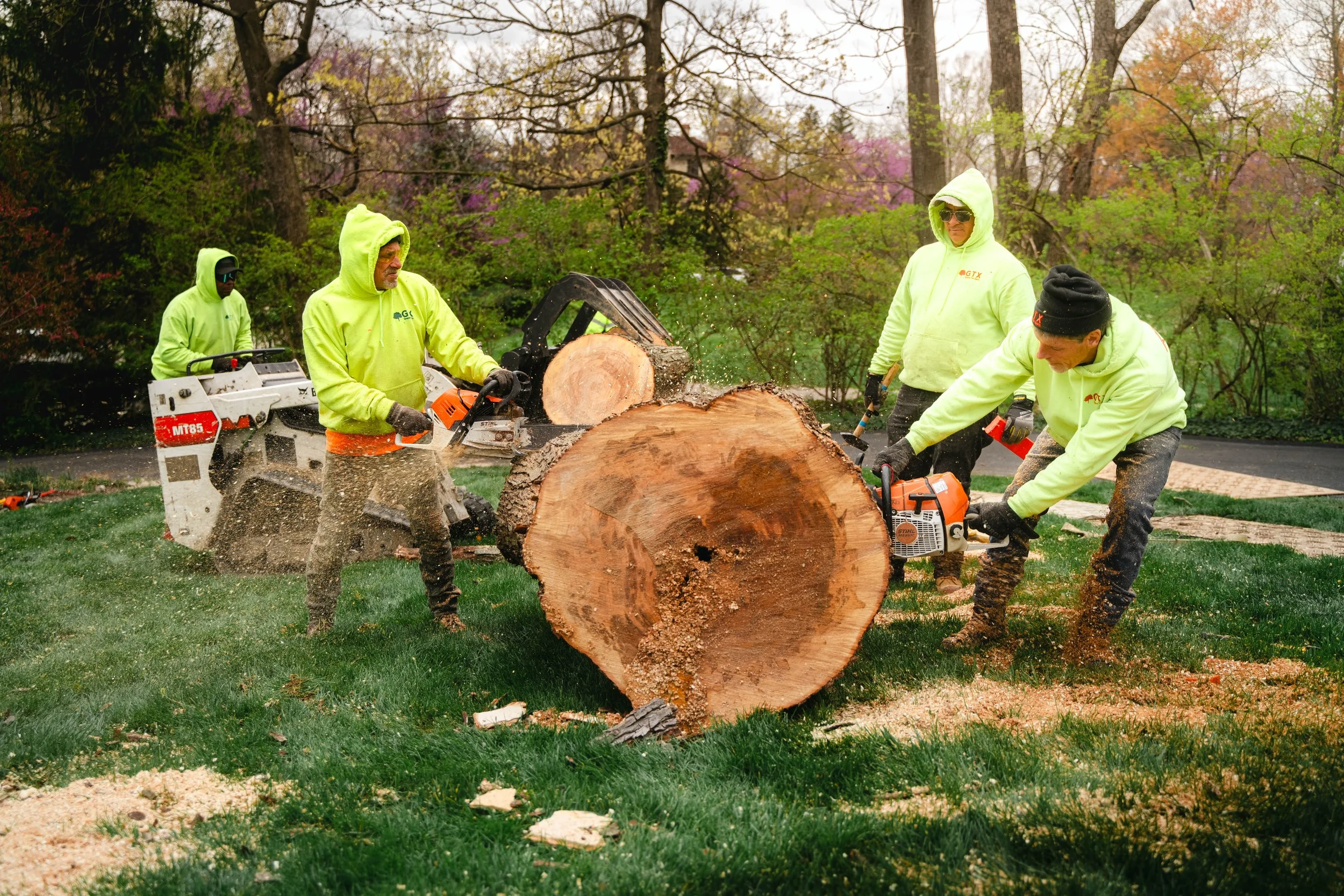 Tree Service Oakwood-132.jpg