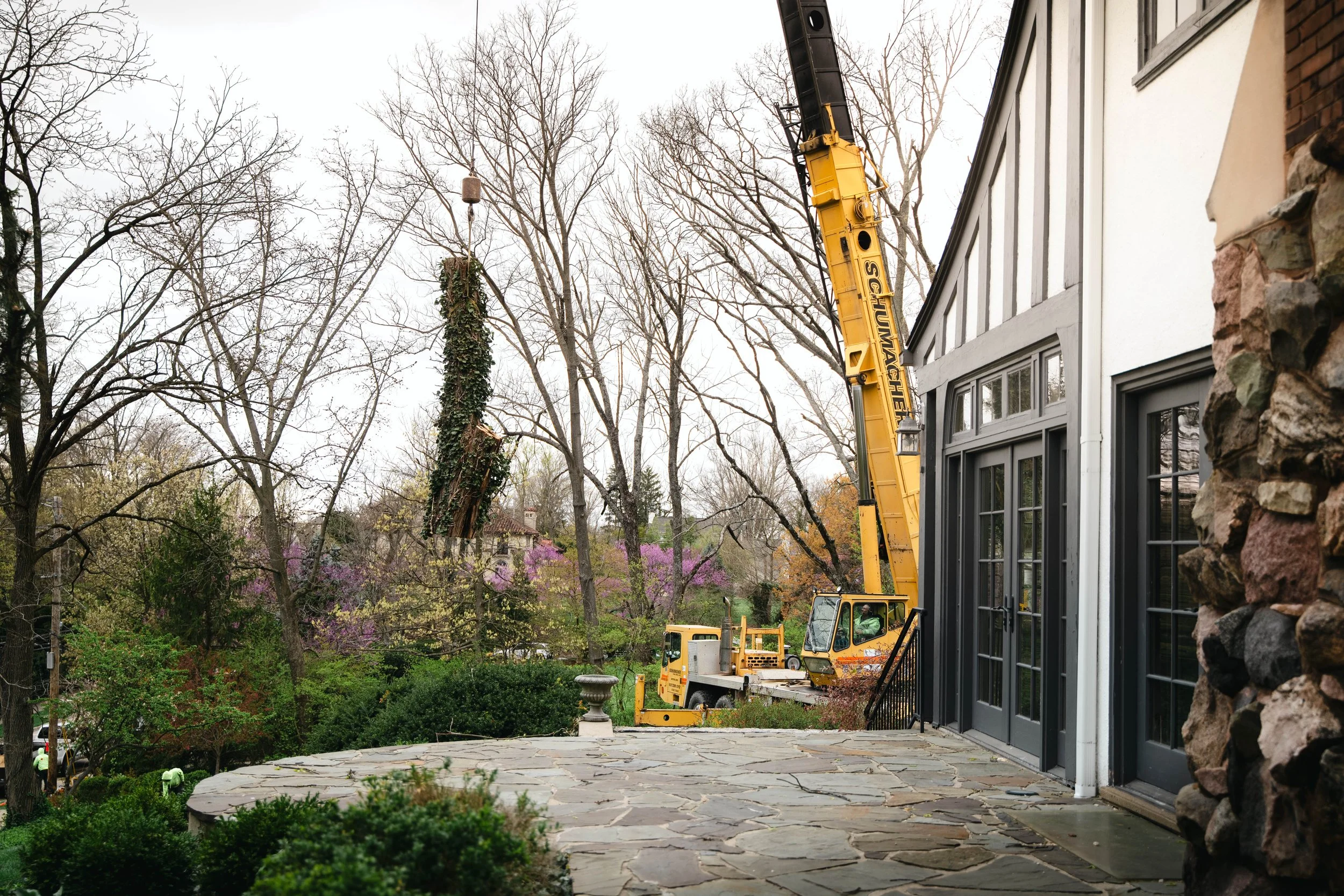 Tree Service Oakwood-153.jpg