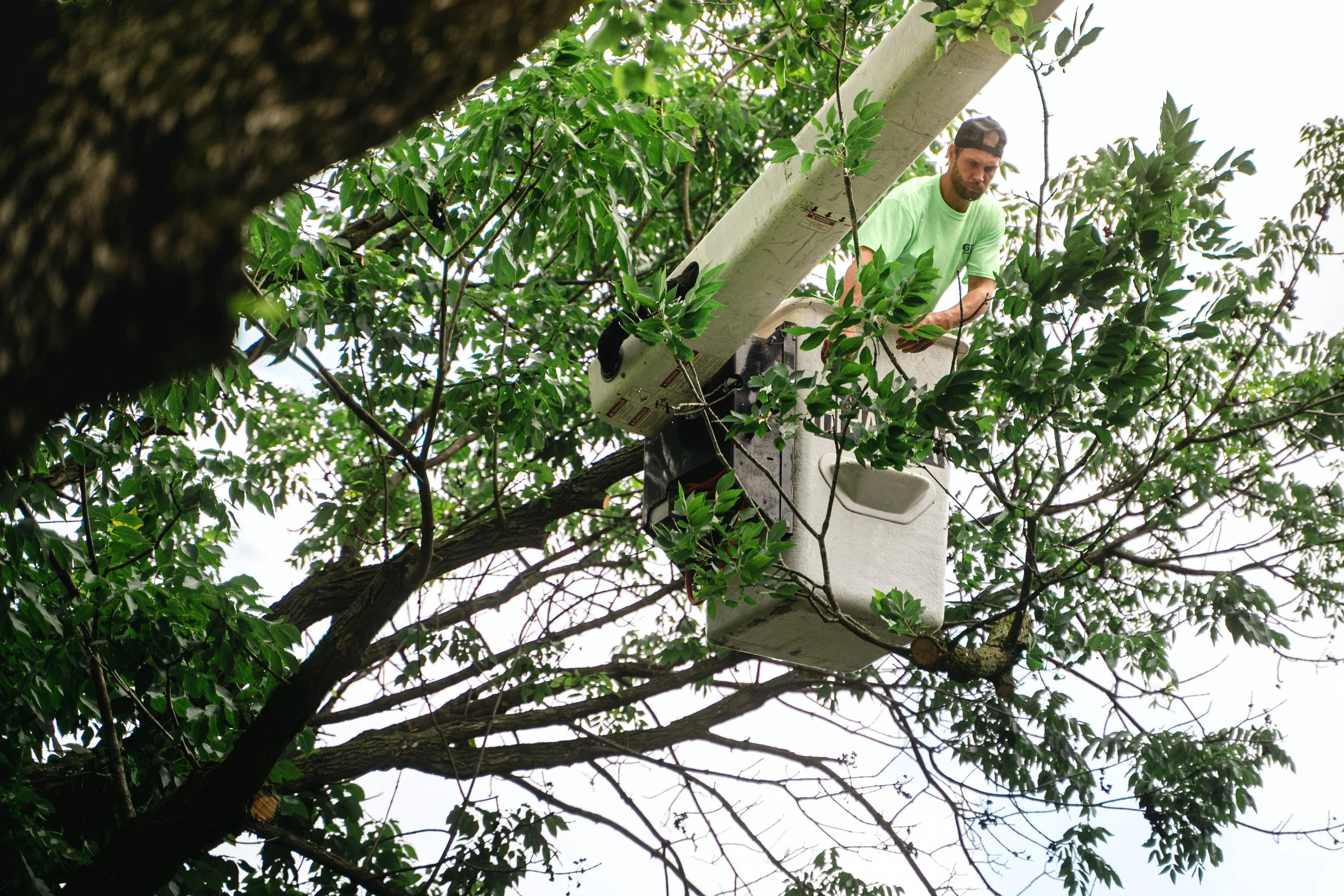 GTX May 29 Tree Service-137.jpg