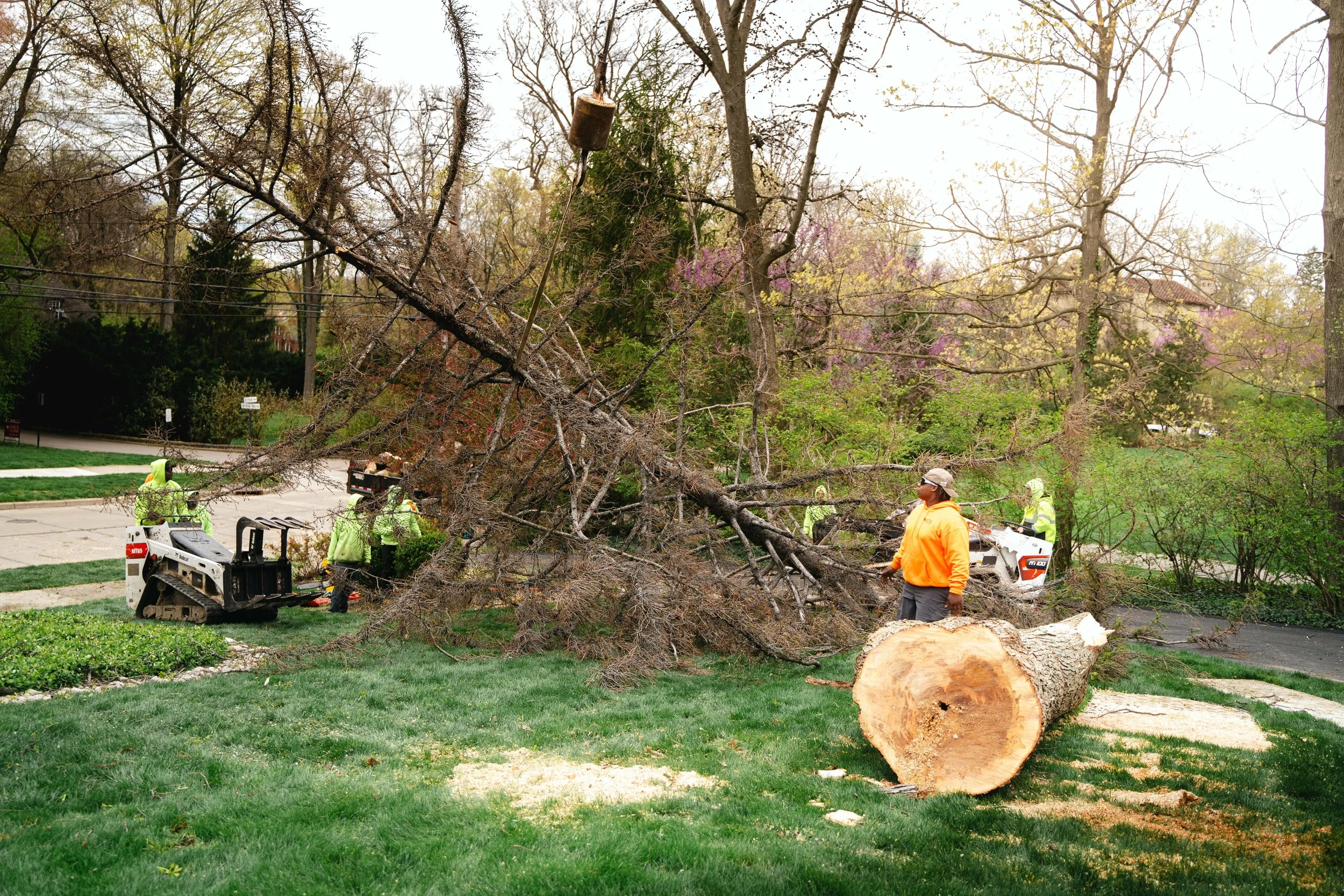 Tree Service Oakwood-134.jpg