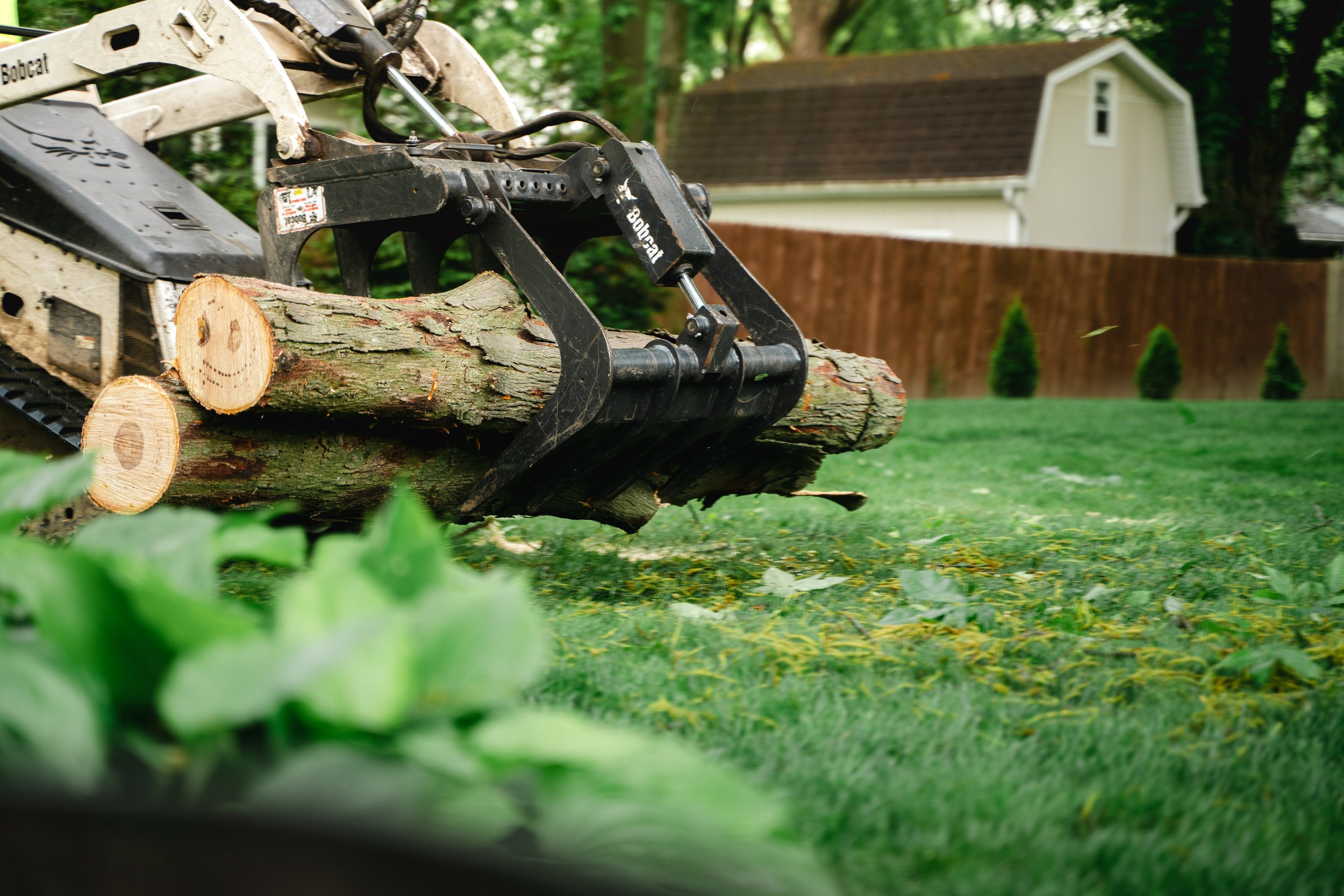 GTX May 29 Tree Service-79.jpg