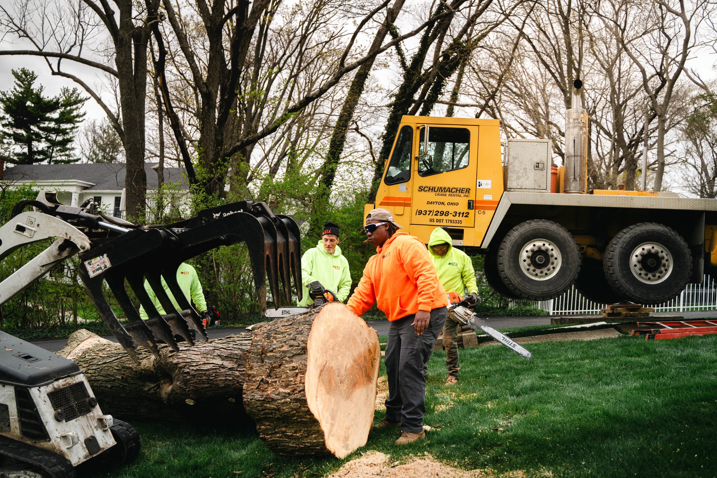 Tree Service Oakwood-128.jpg