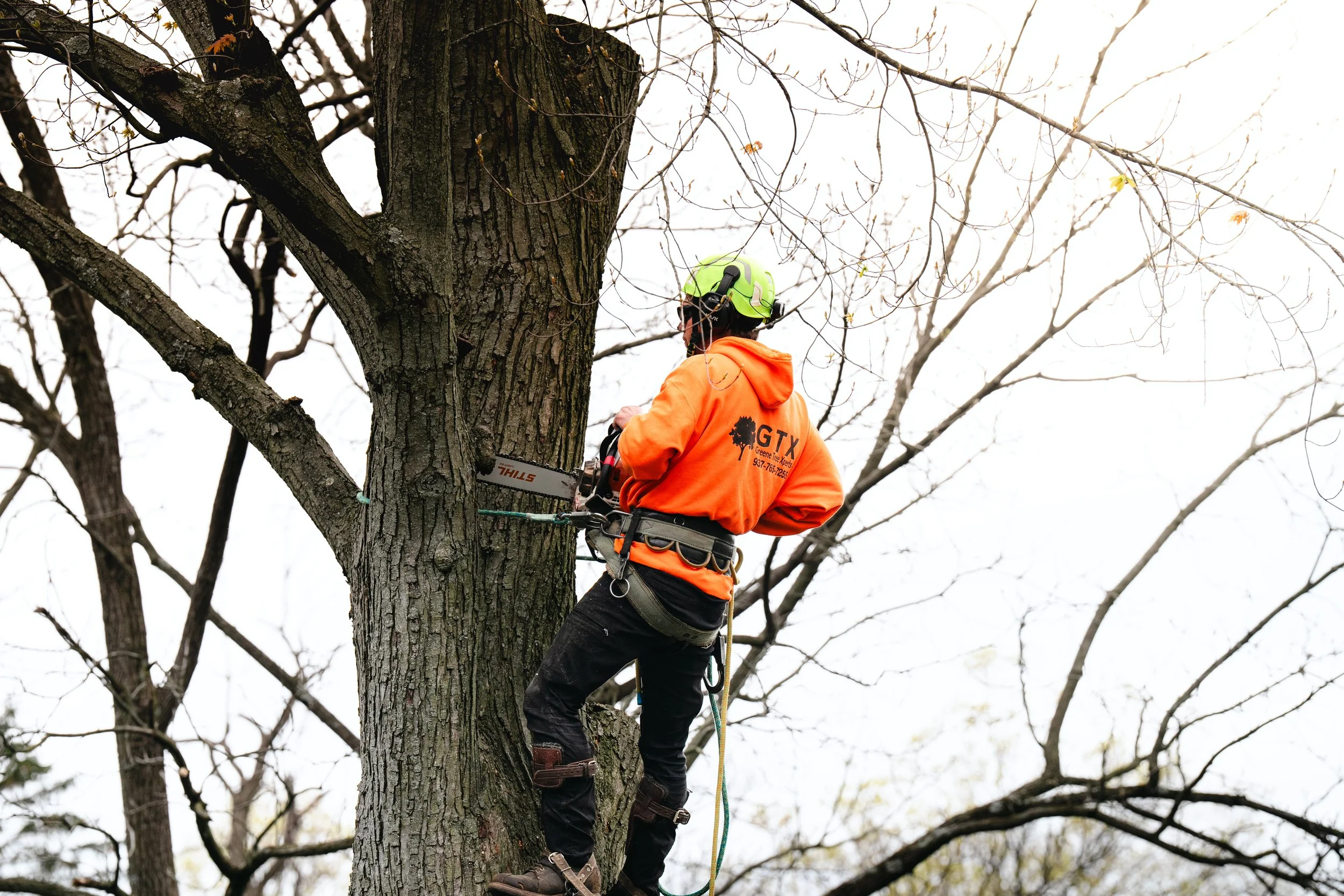 Tree Service Oakwood-110.jpg