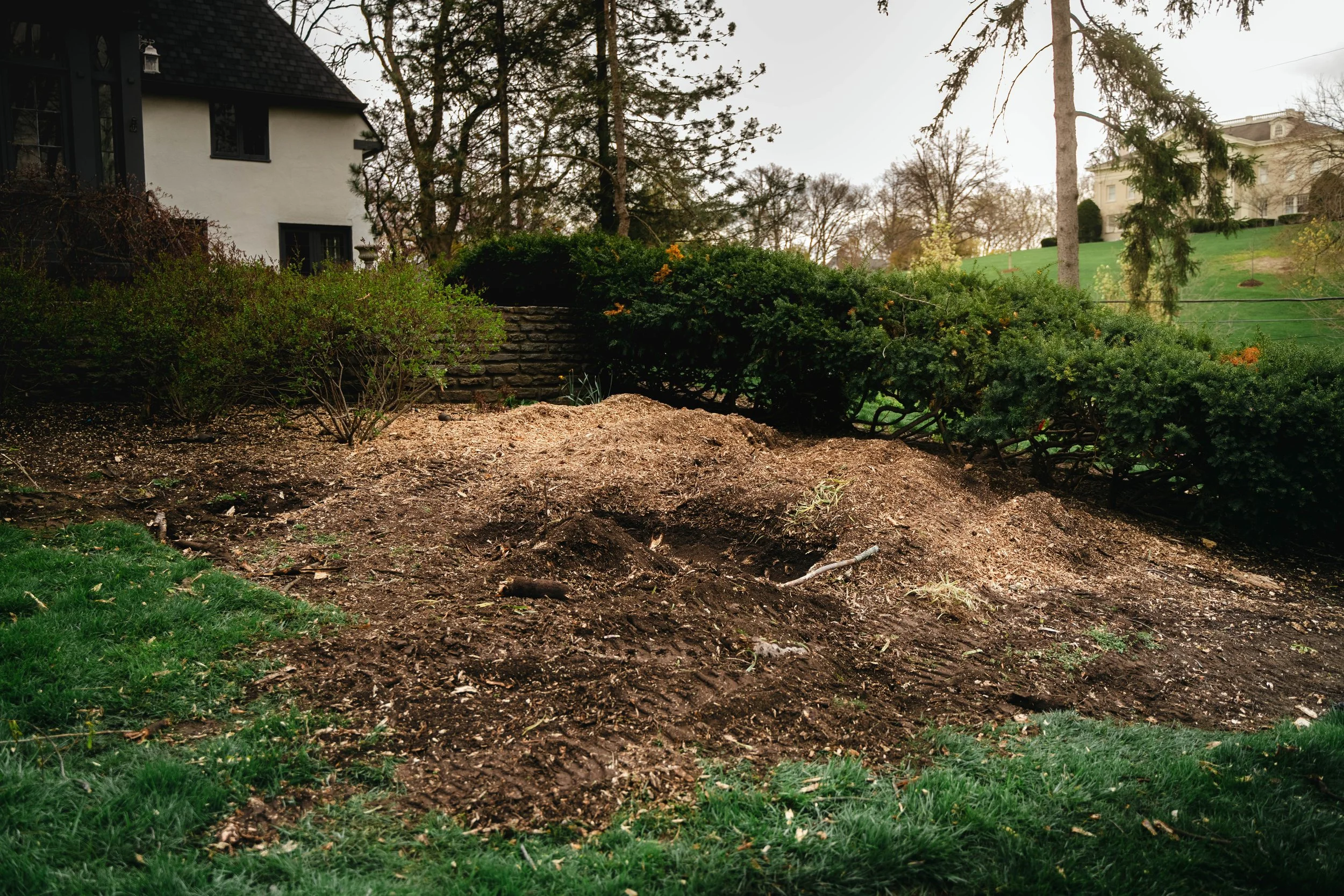 Tree Service Oakwood-191.jpg