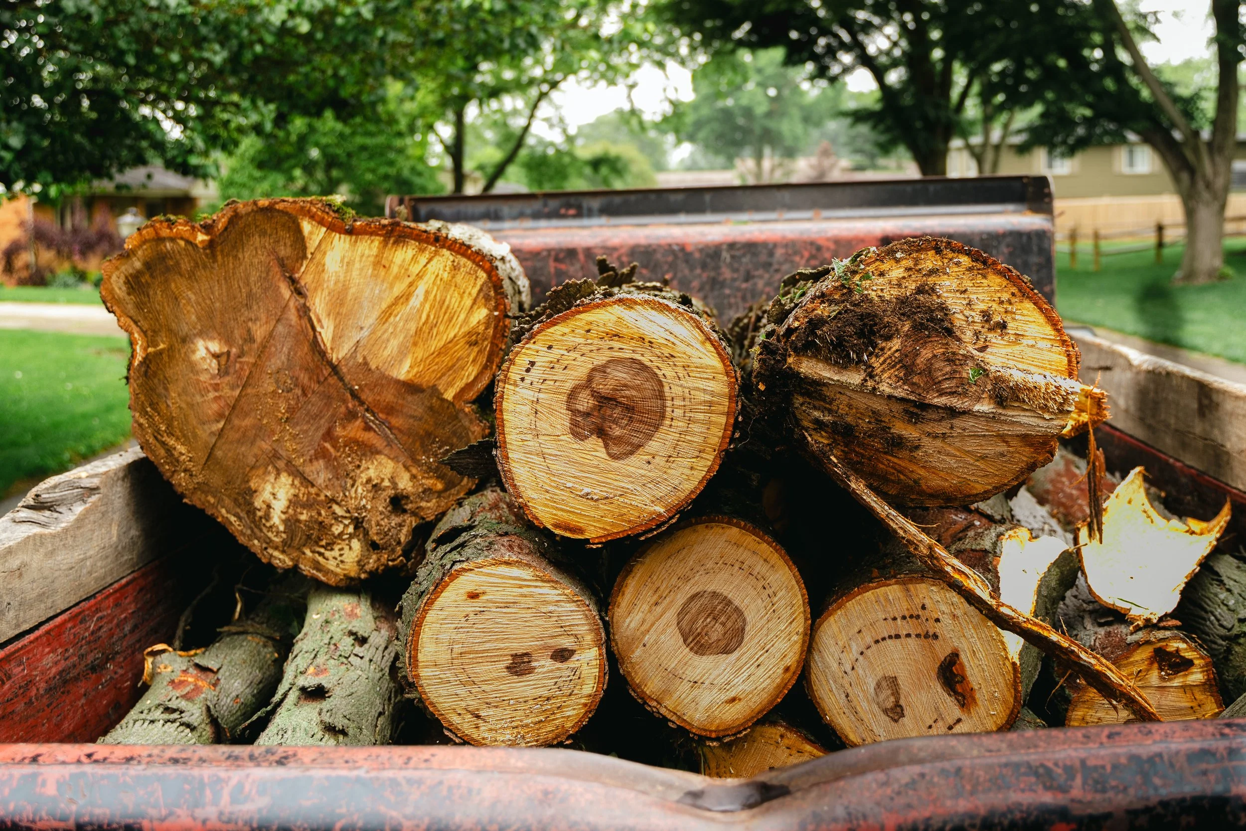 GTX May 29 Tree Service-90.jpg