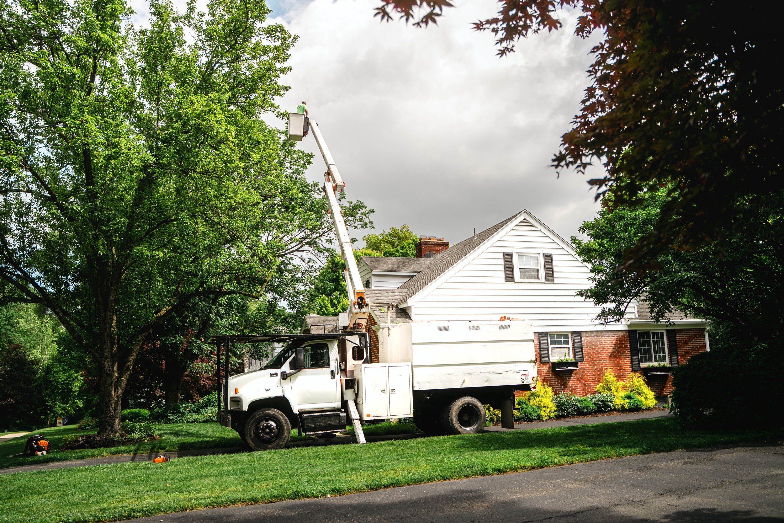 GTX May 29 Tree Service-142.jpg