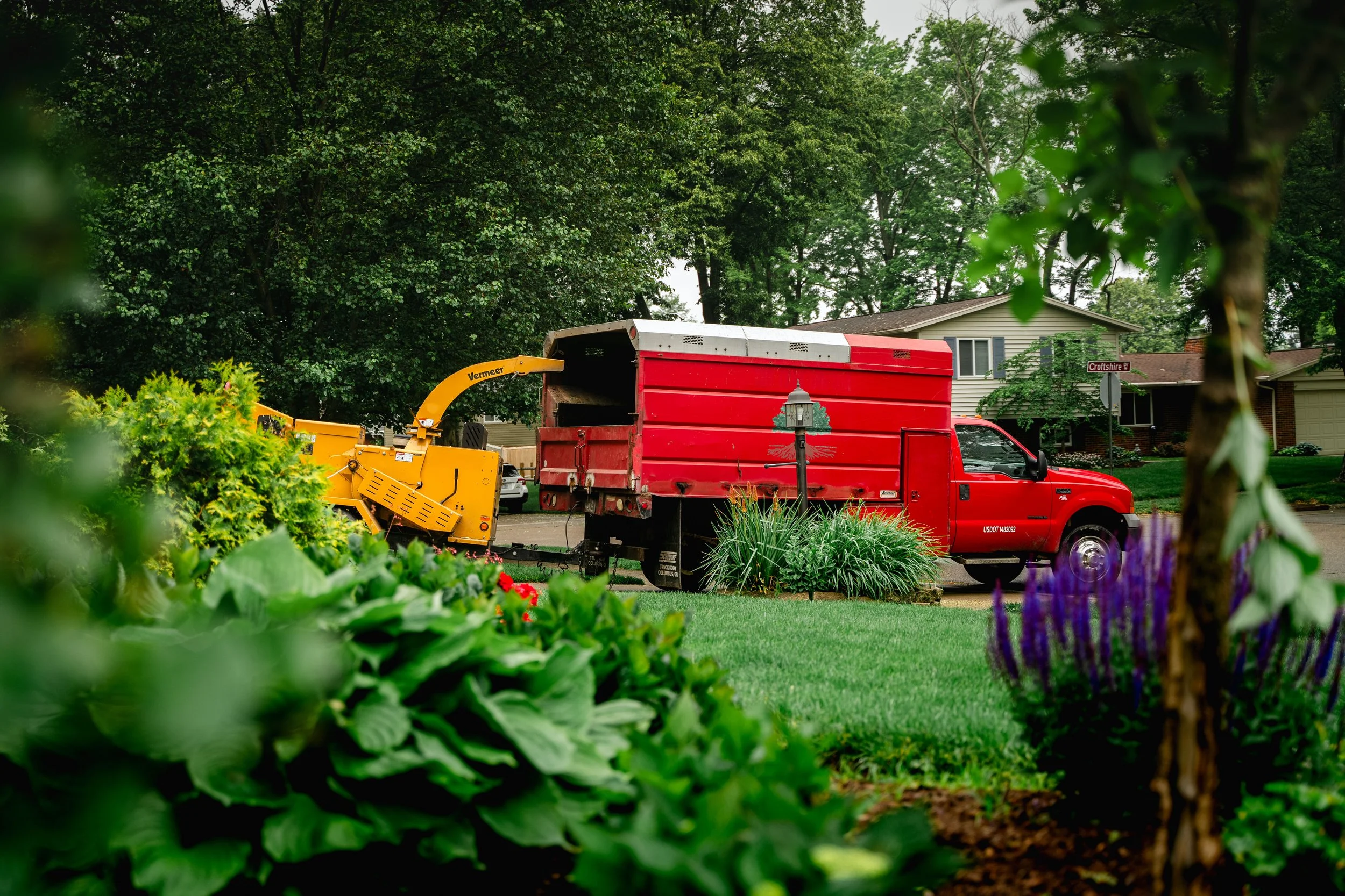 GTX May 29 Tree Service-62.jpg