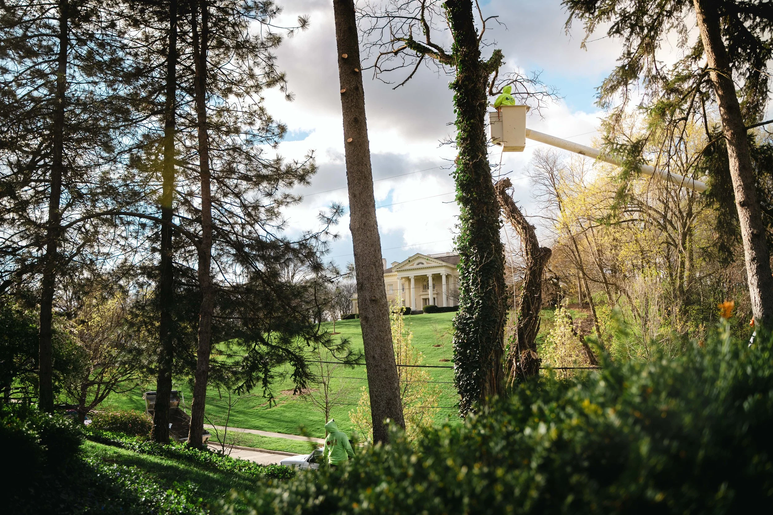 Tree Service Oakwood-39.jpg