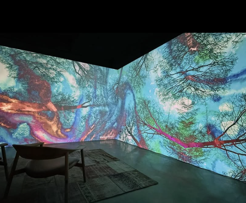 Laia Cabrera and Isabelle Duverger